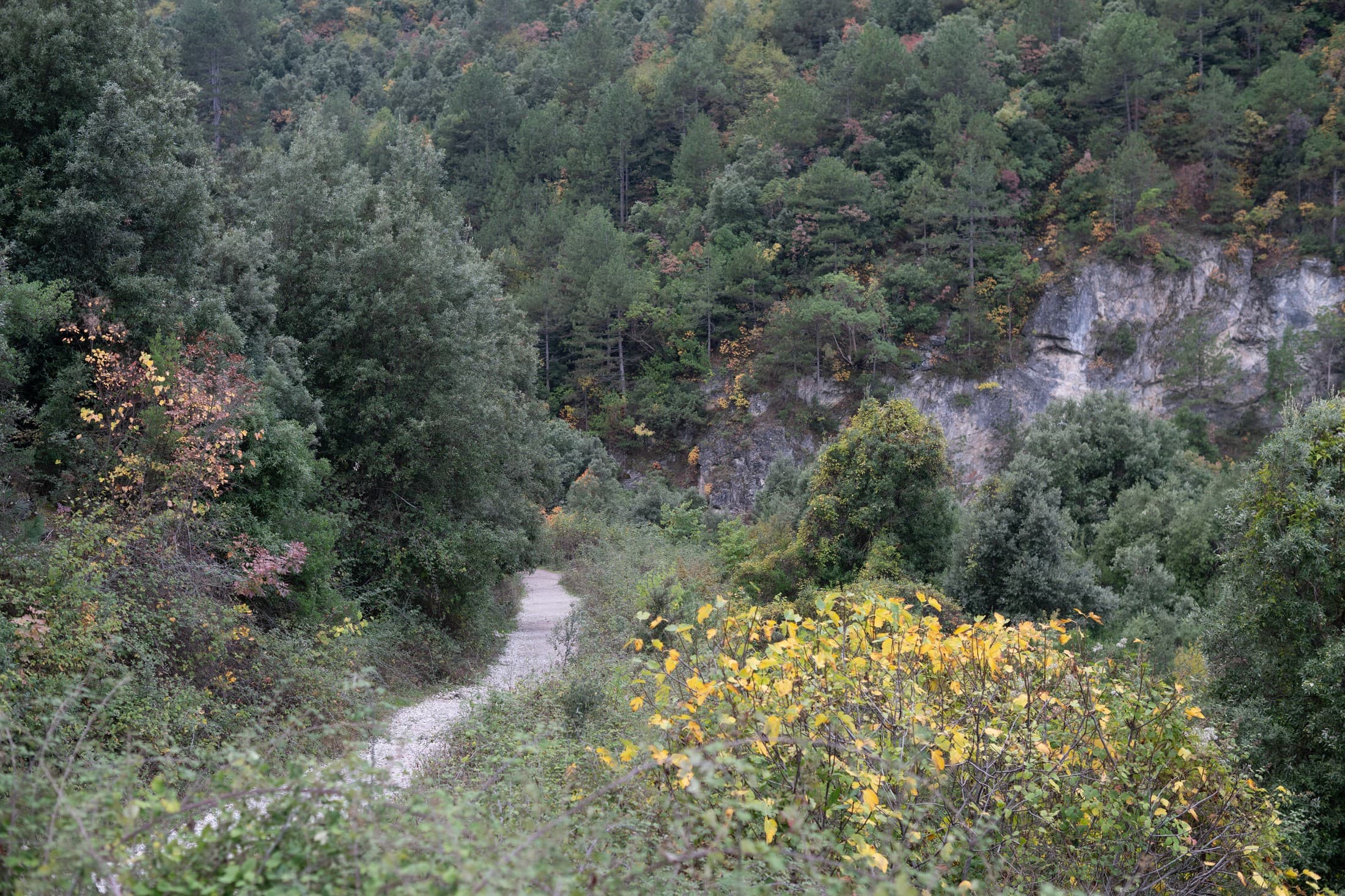 Alt text not provided