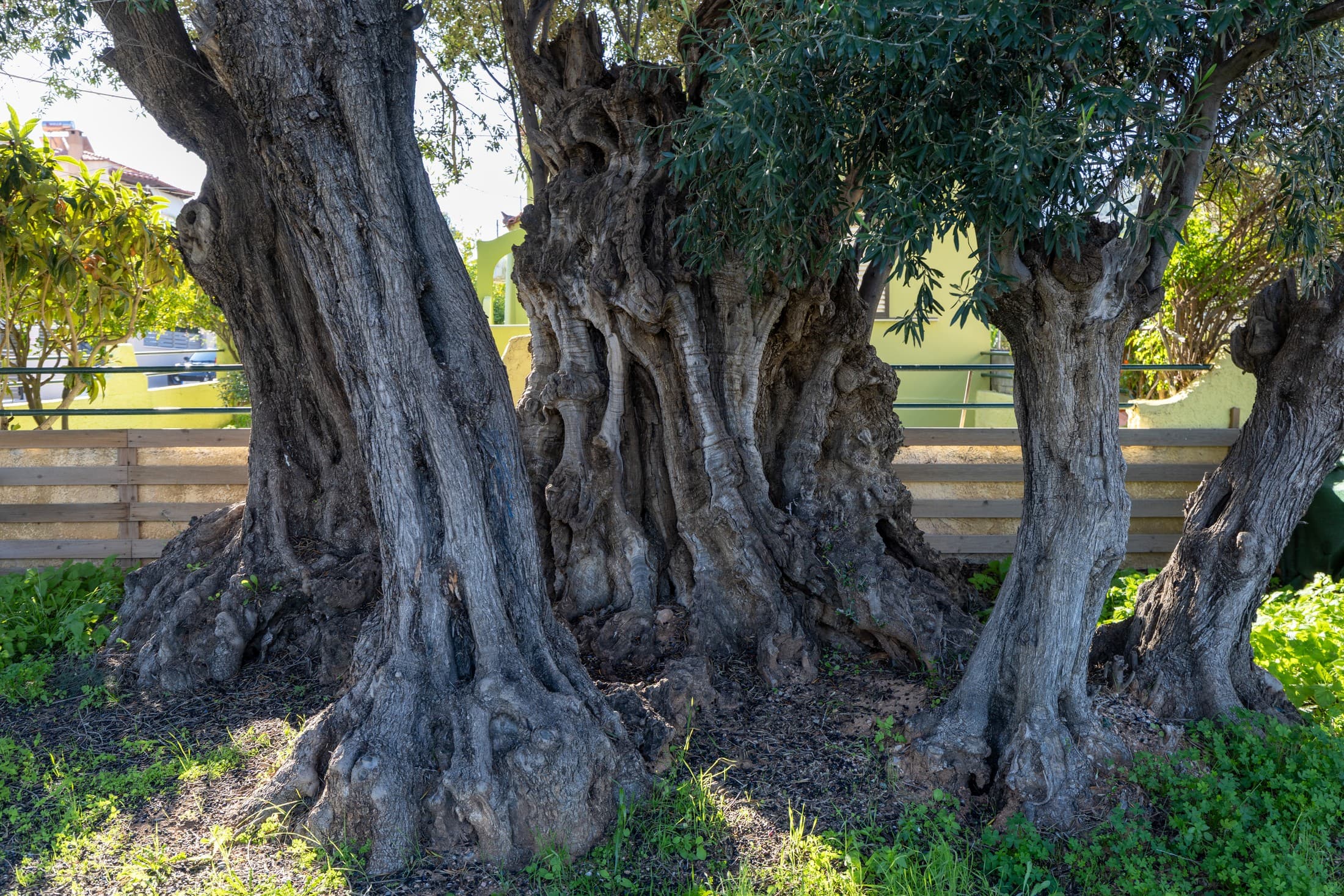 Alt text not provided