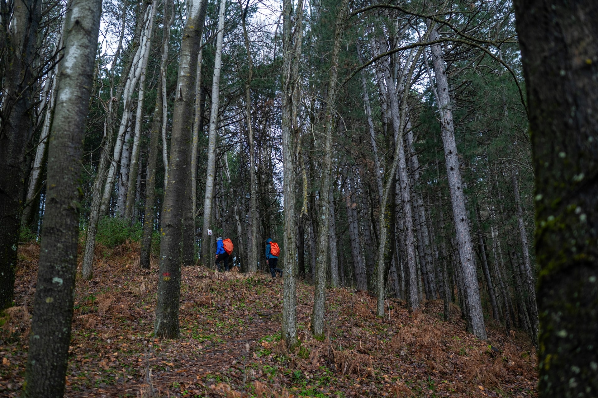 Trekking in Valia Calda