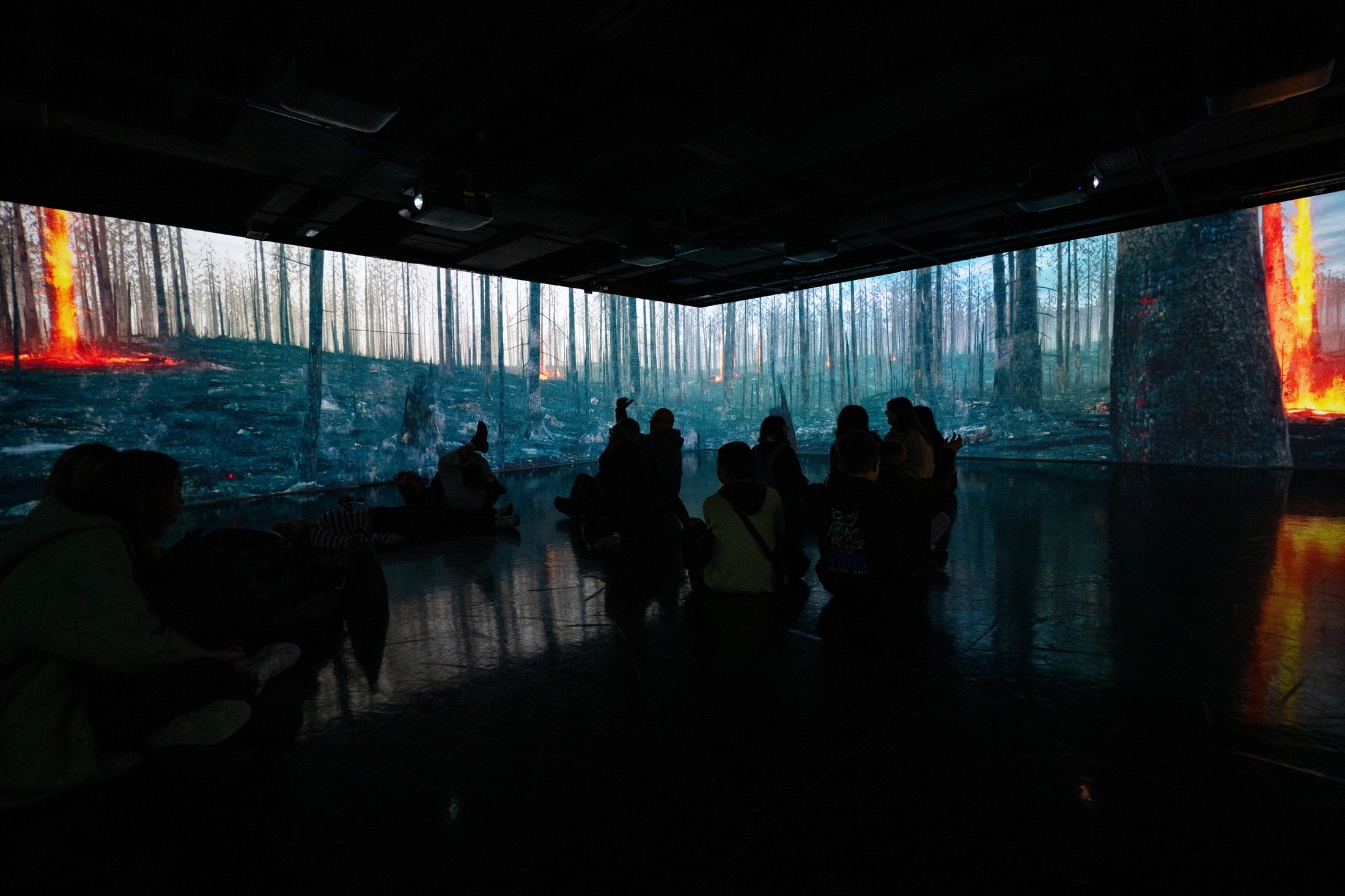 National Museum of Natural History Goulandris