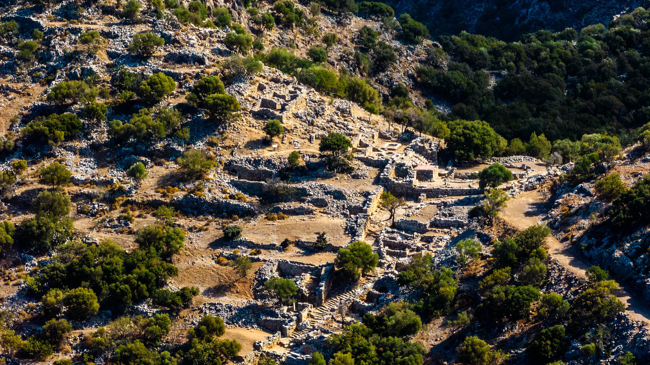 Alt text not provided