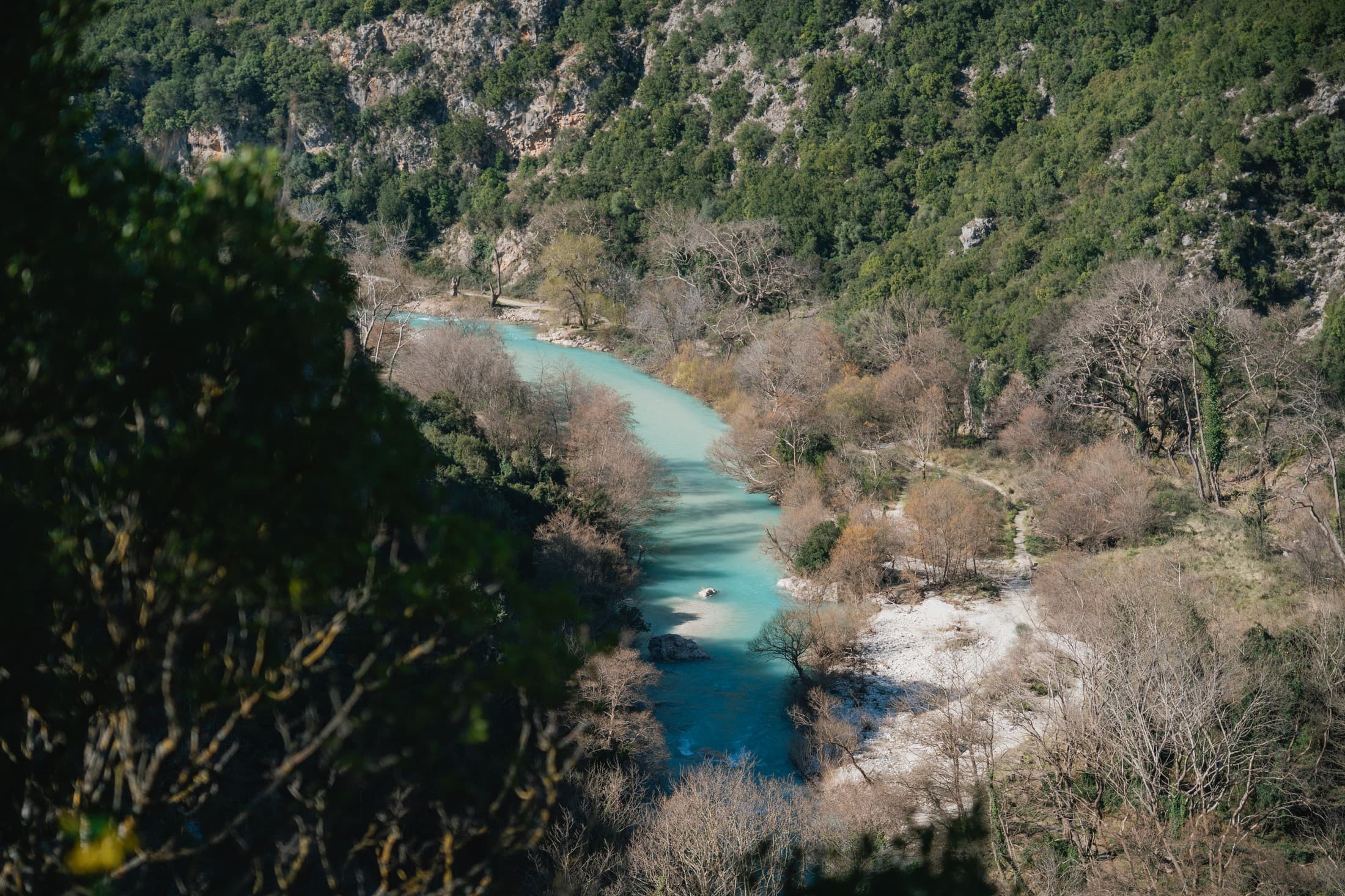 Alt text not provided