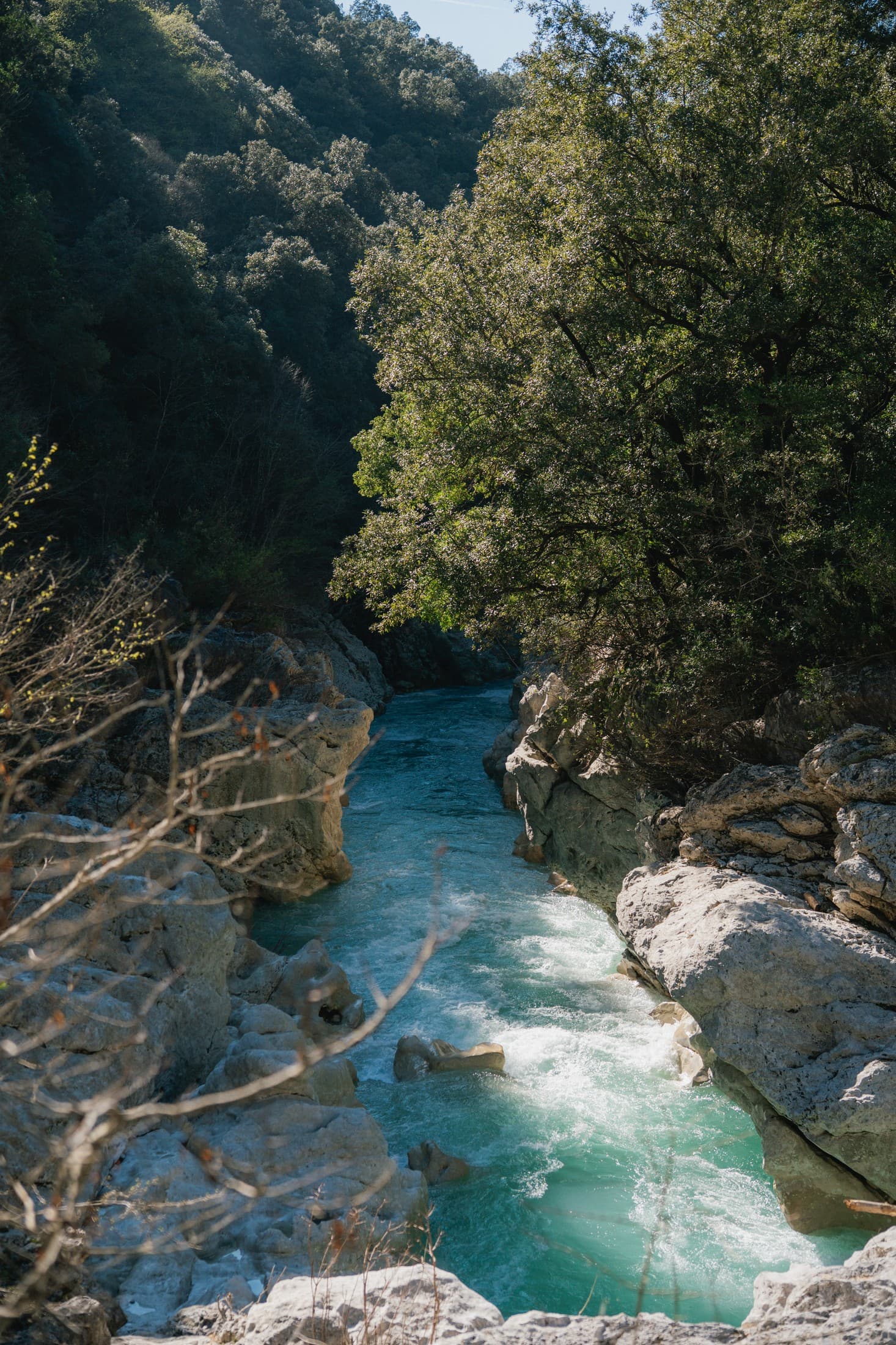 Alt text not provided