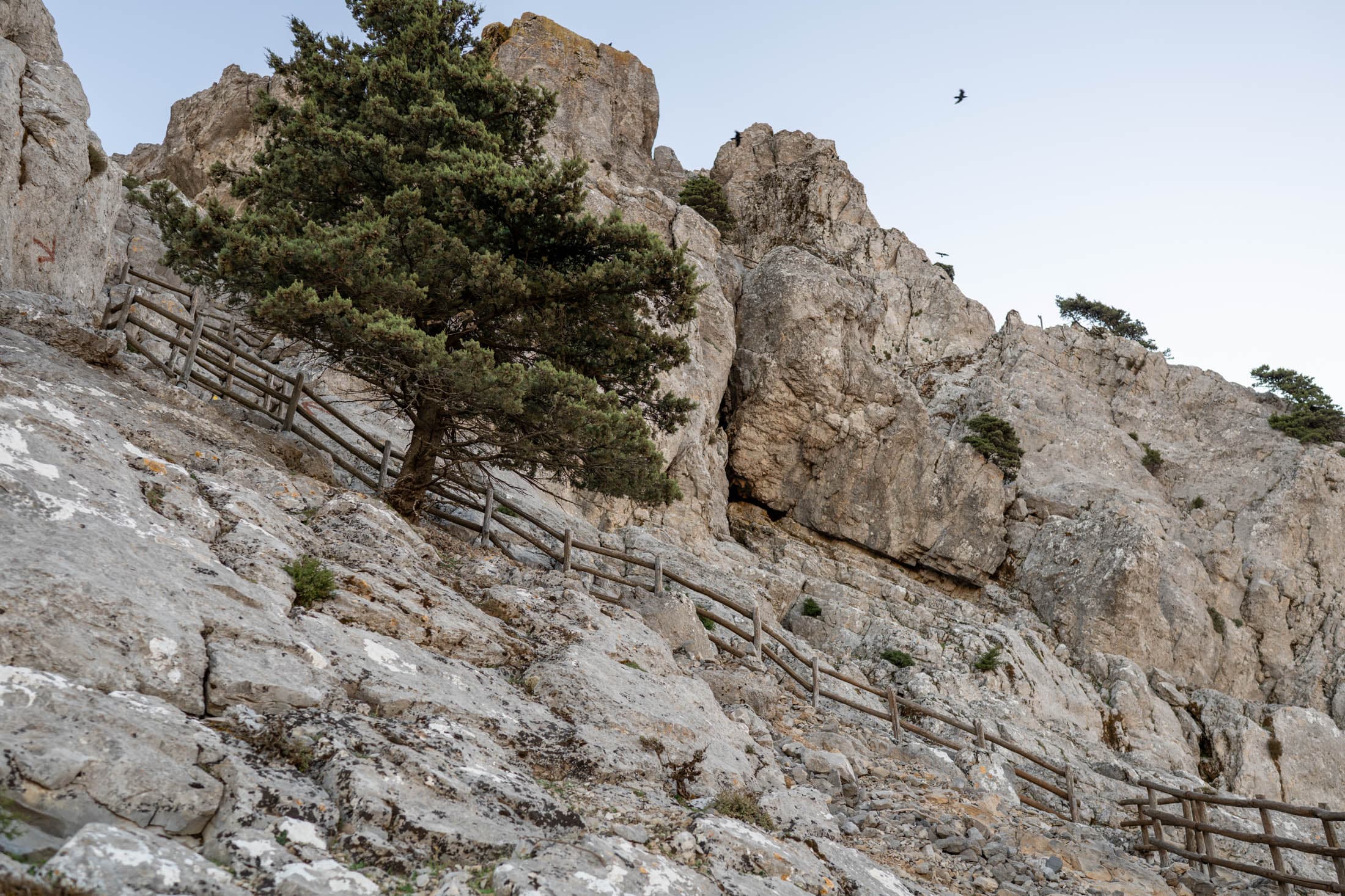 Alt text not provided