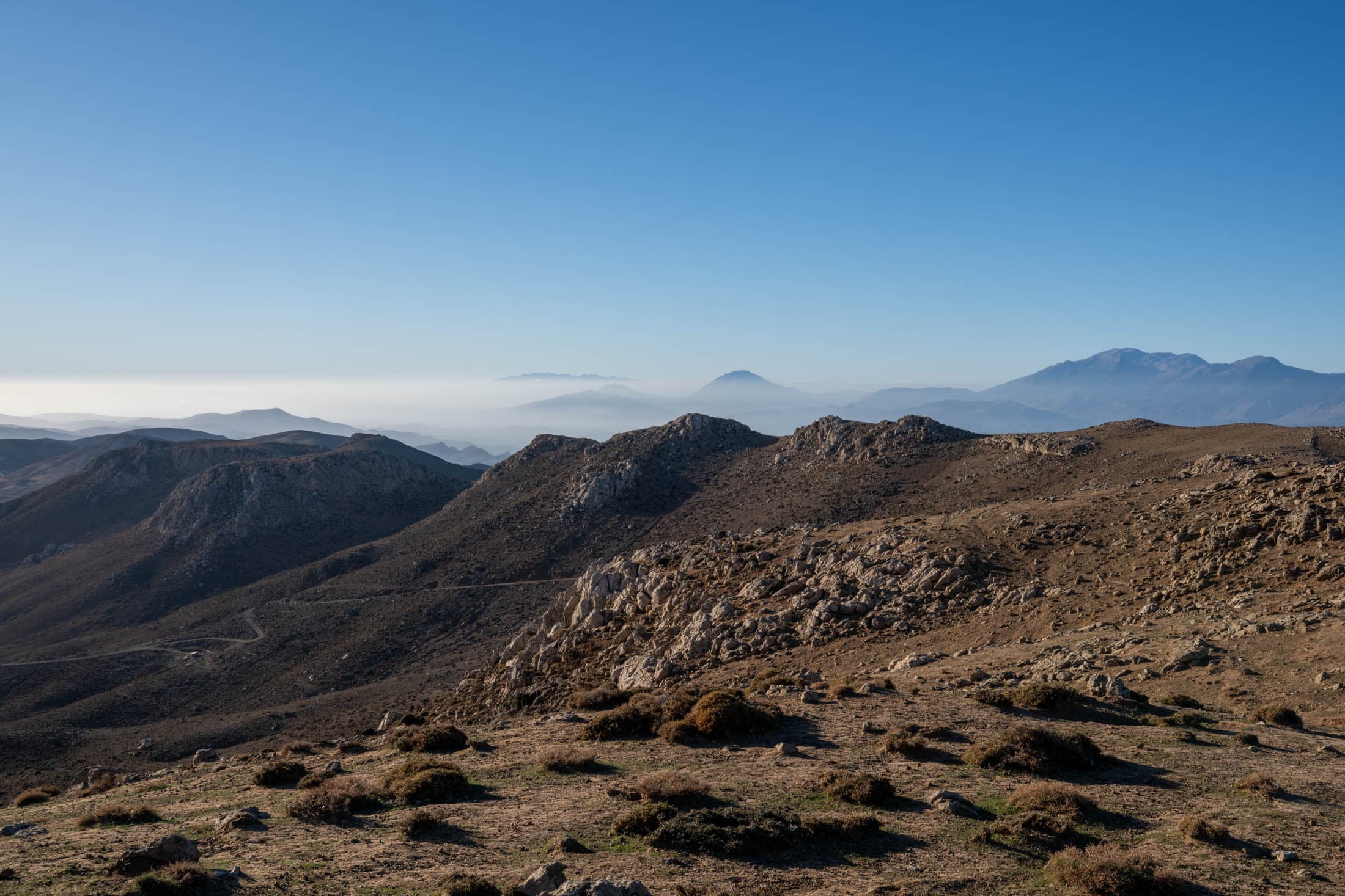 Alt text not provided