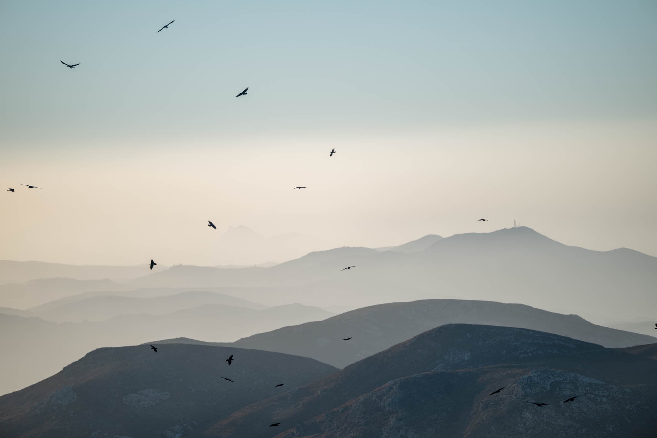 Alt text not provided