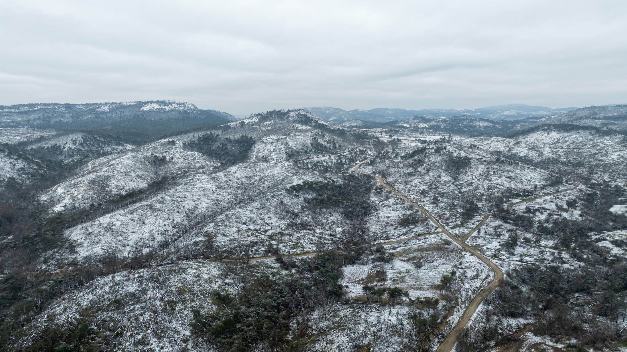 Alt text not provided