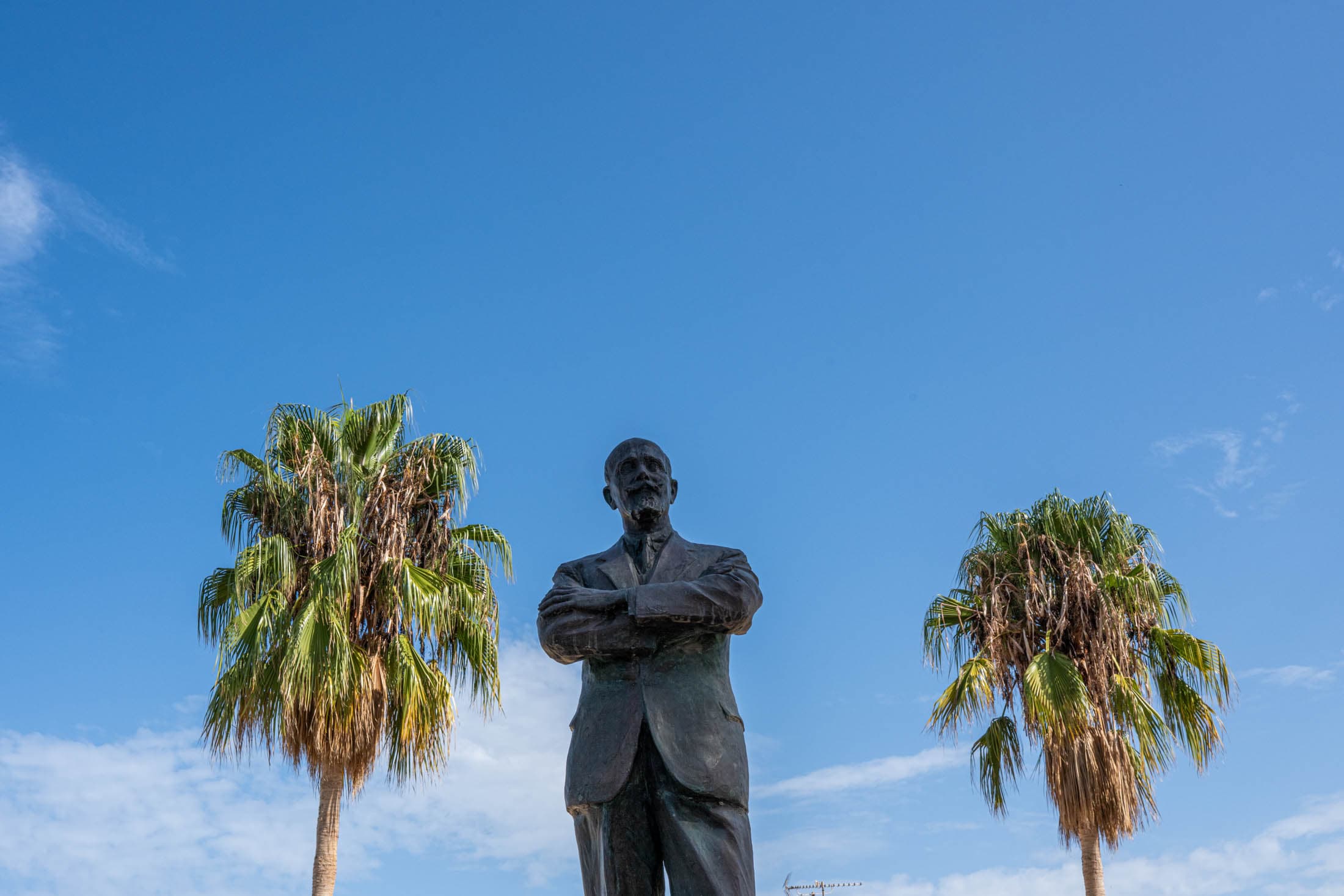 Alt text not provided