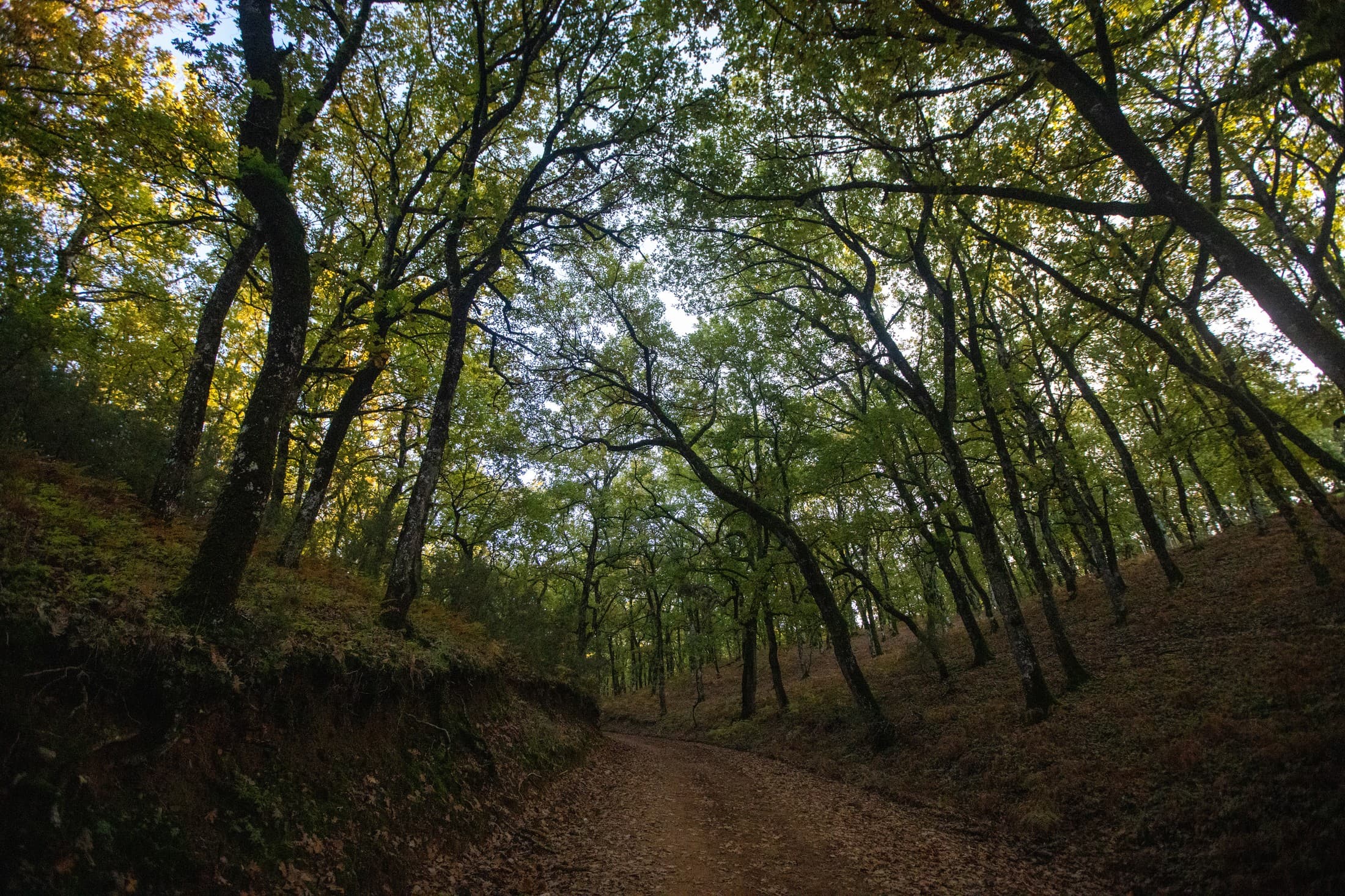 Alt text not provided