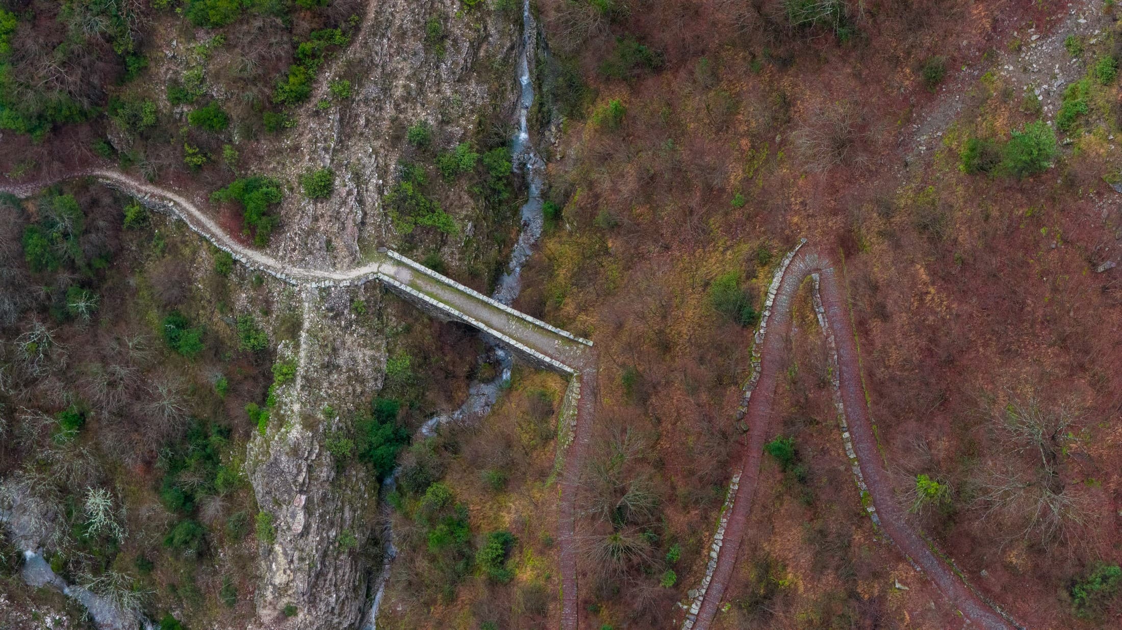 Alt text not provided