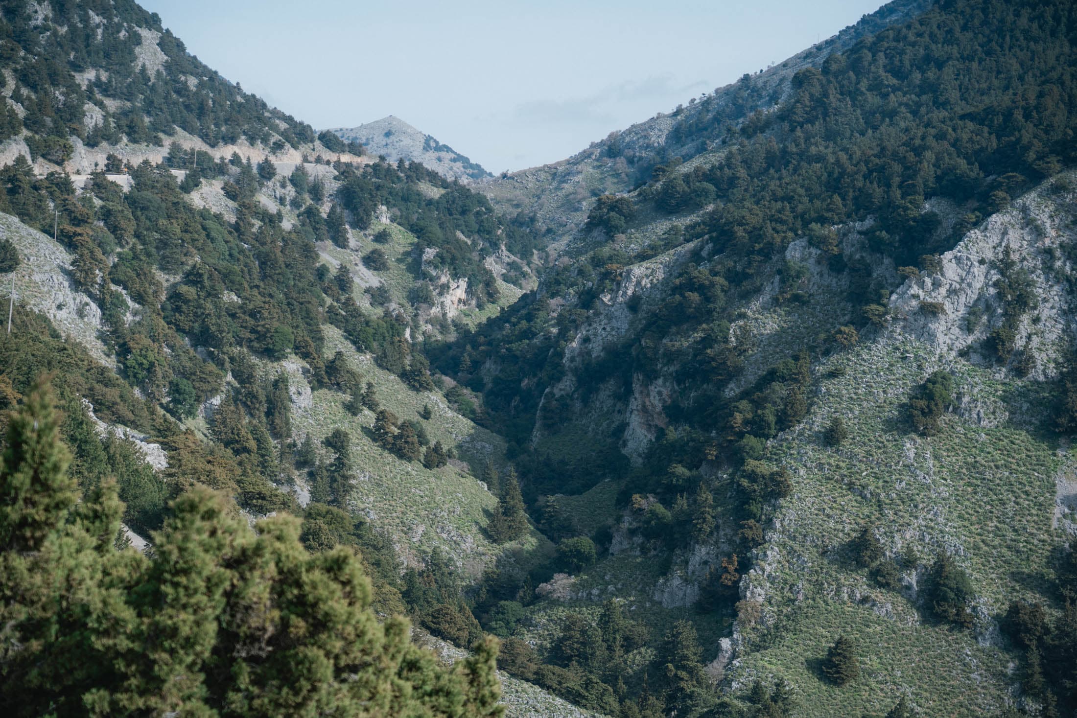 Alt text not provided