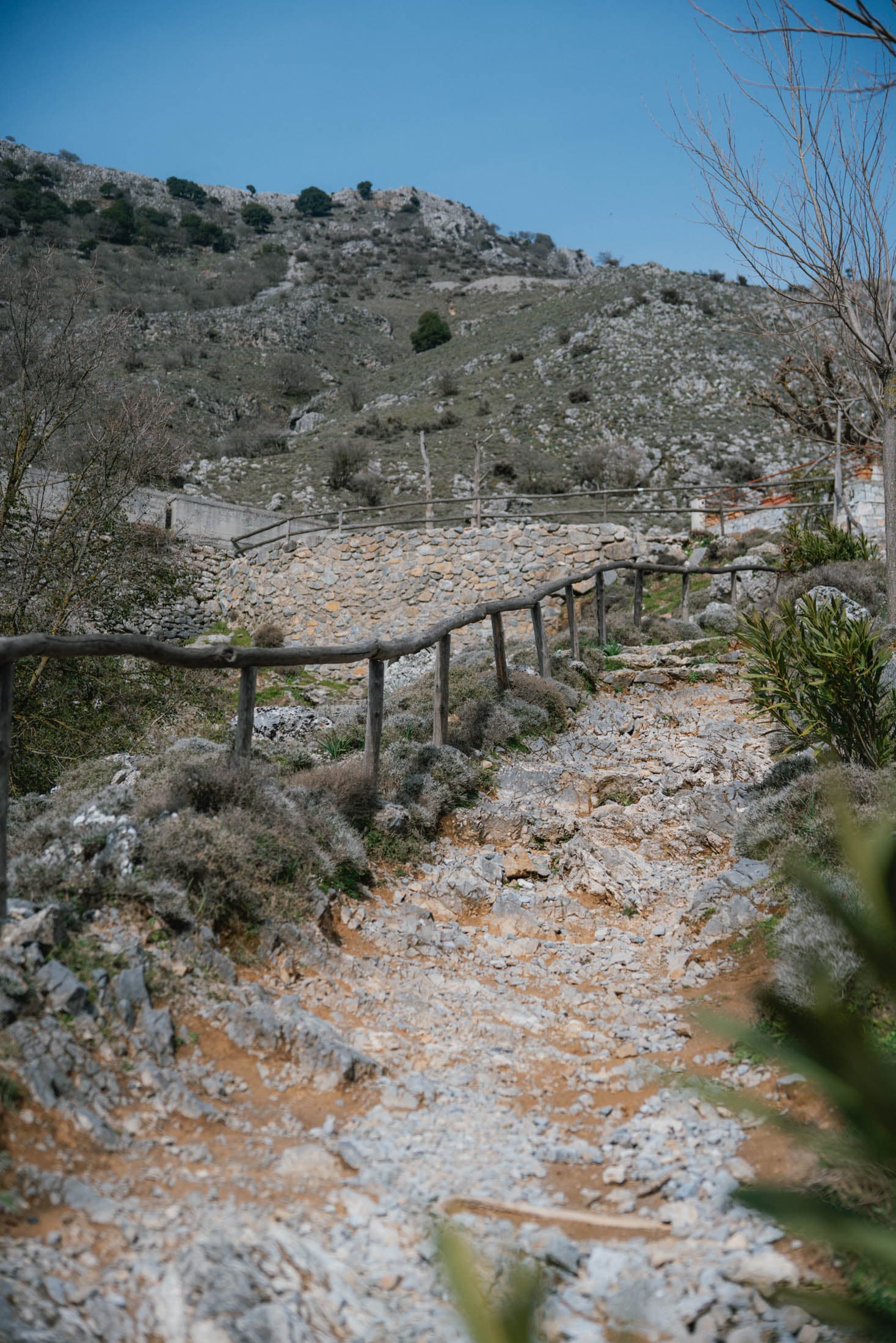 Alt text not provided