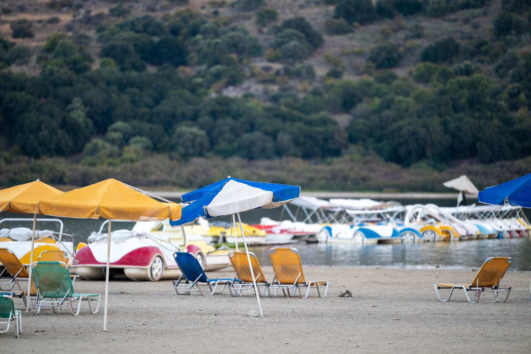 Alt text not provided