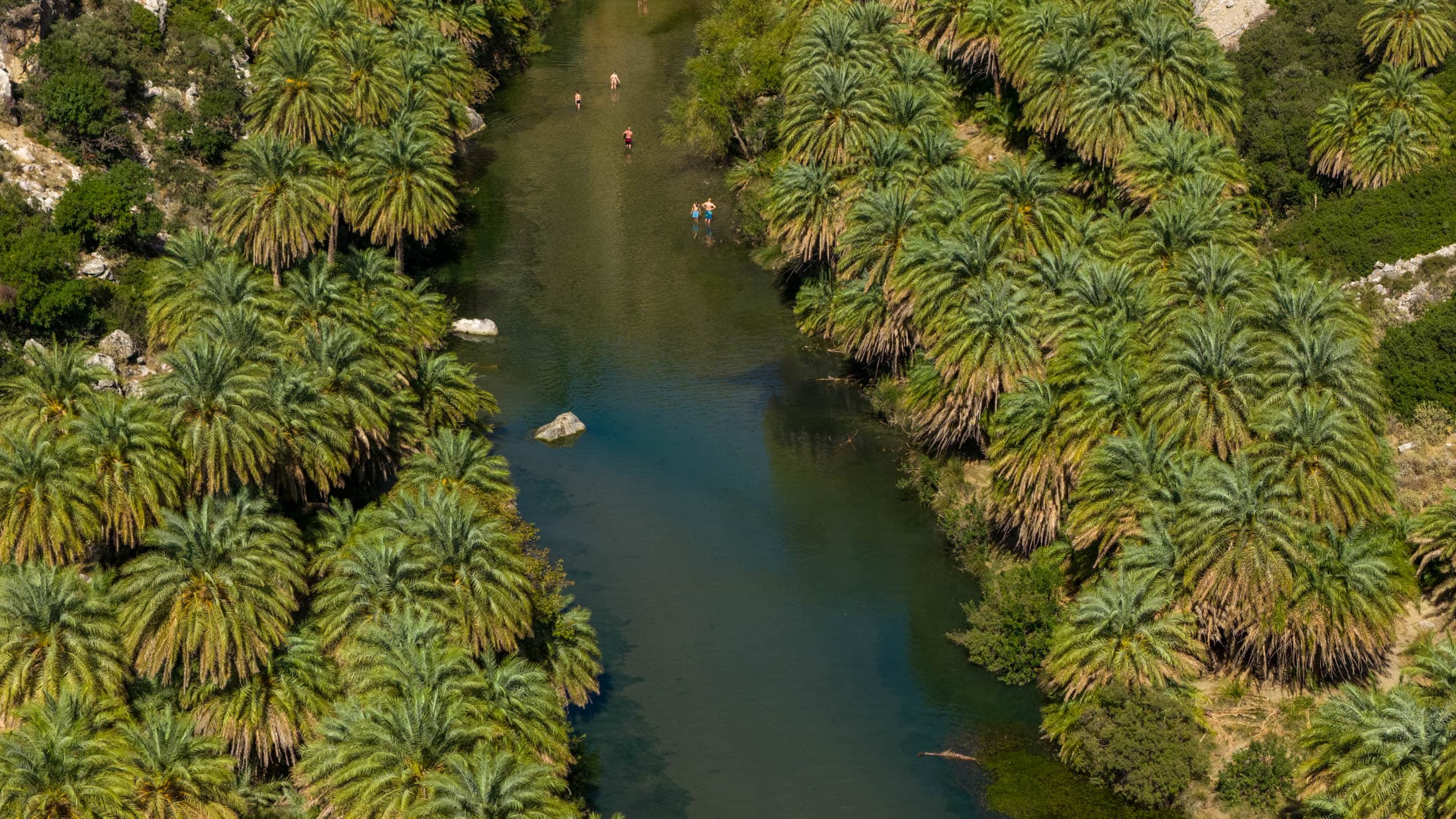 Alt text not provided