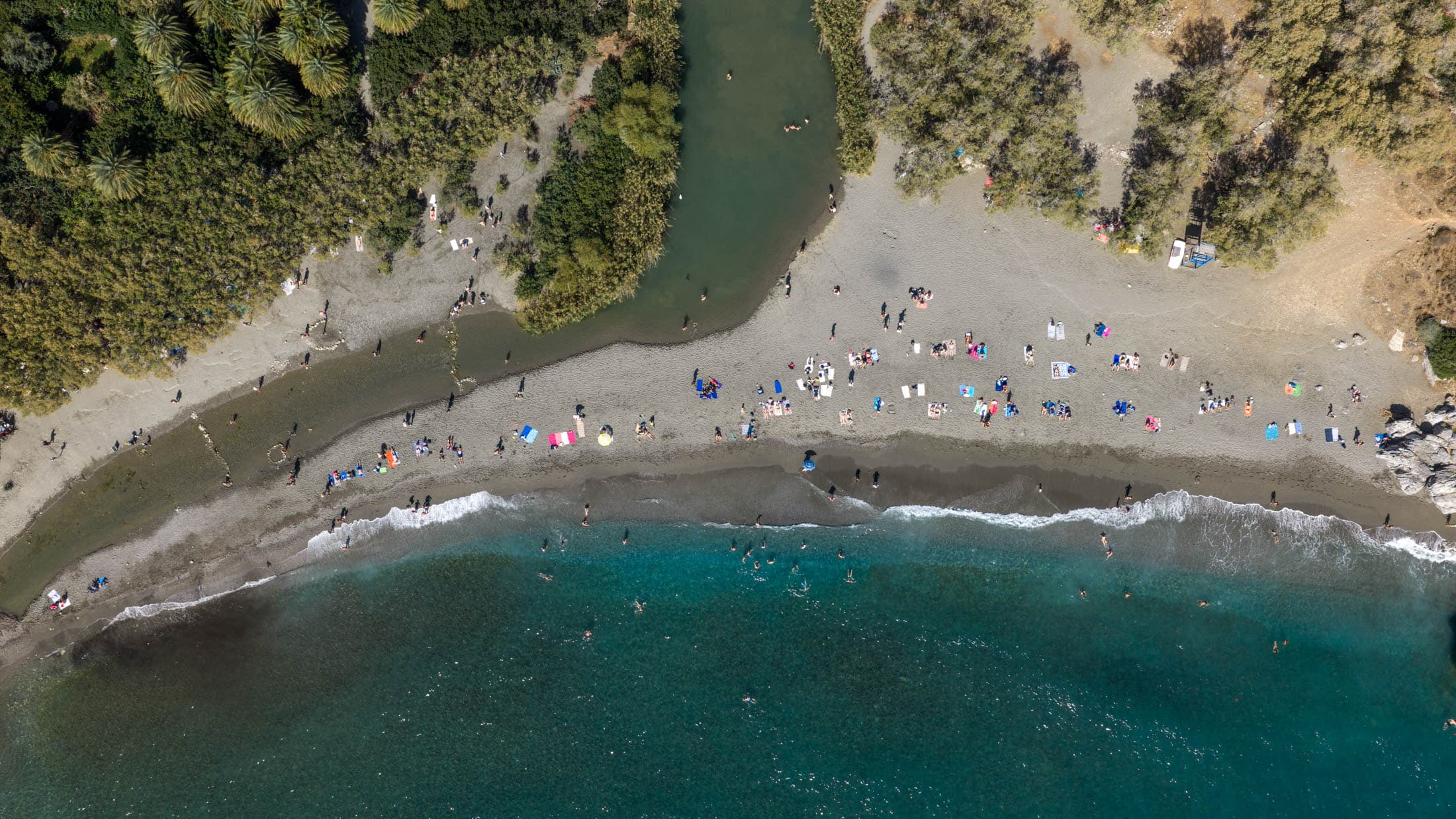 Alt text not provided