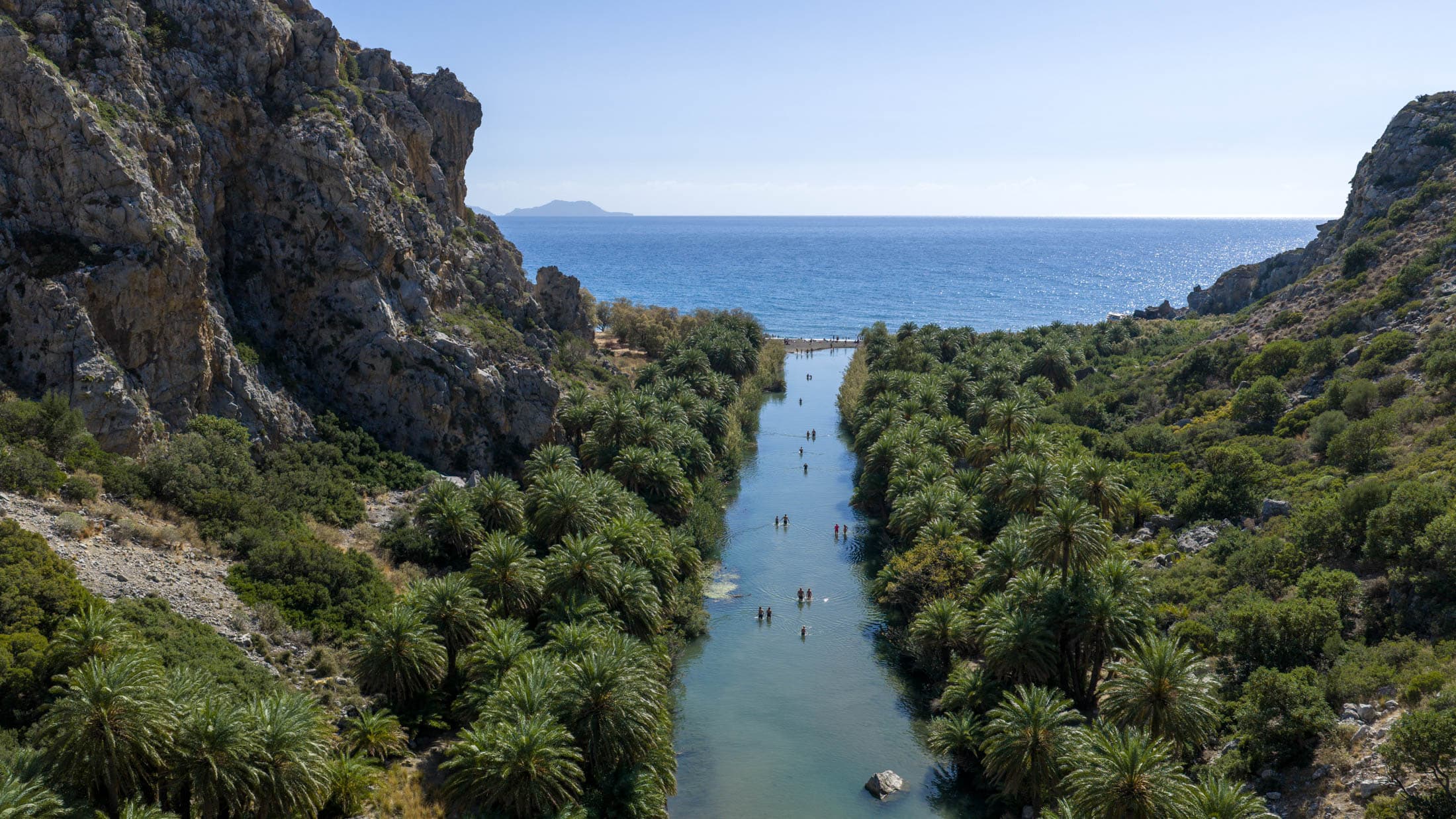 Alt text not provided