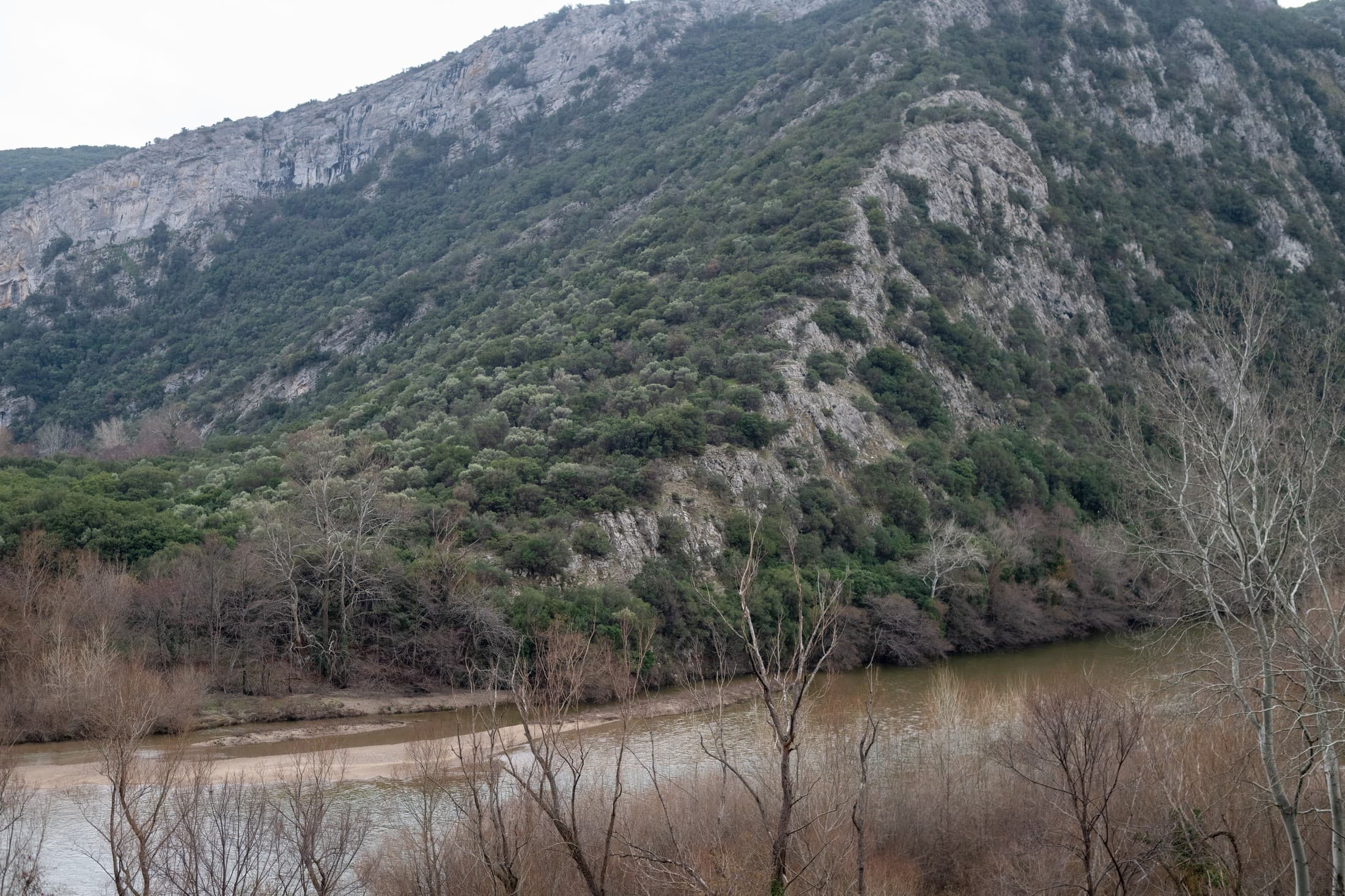 Alt text not provided