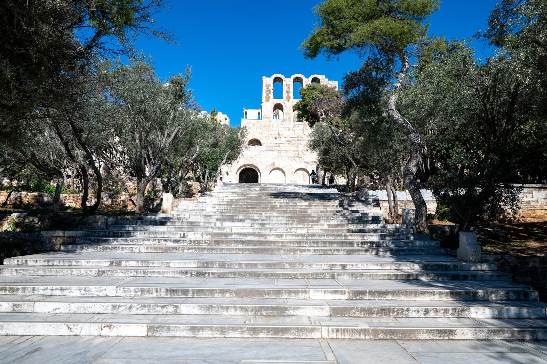 Alt text not provided