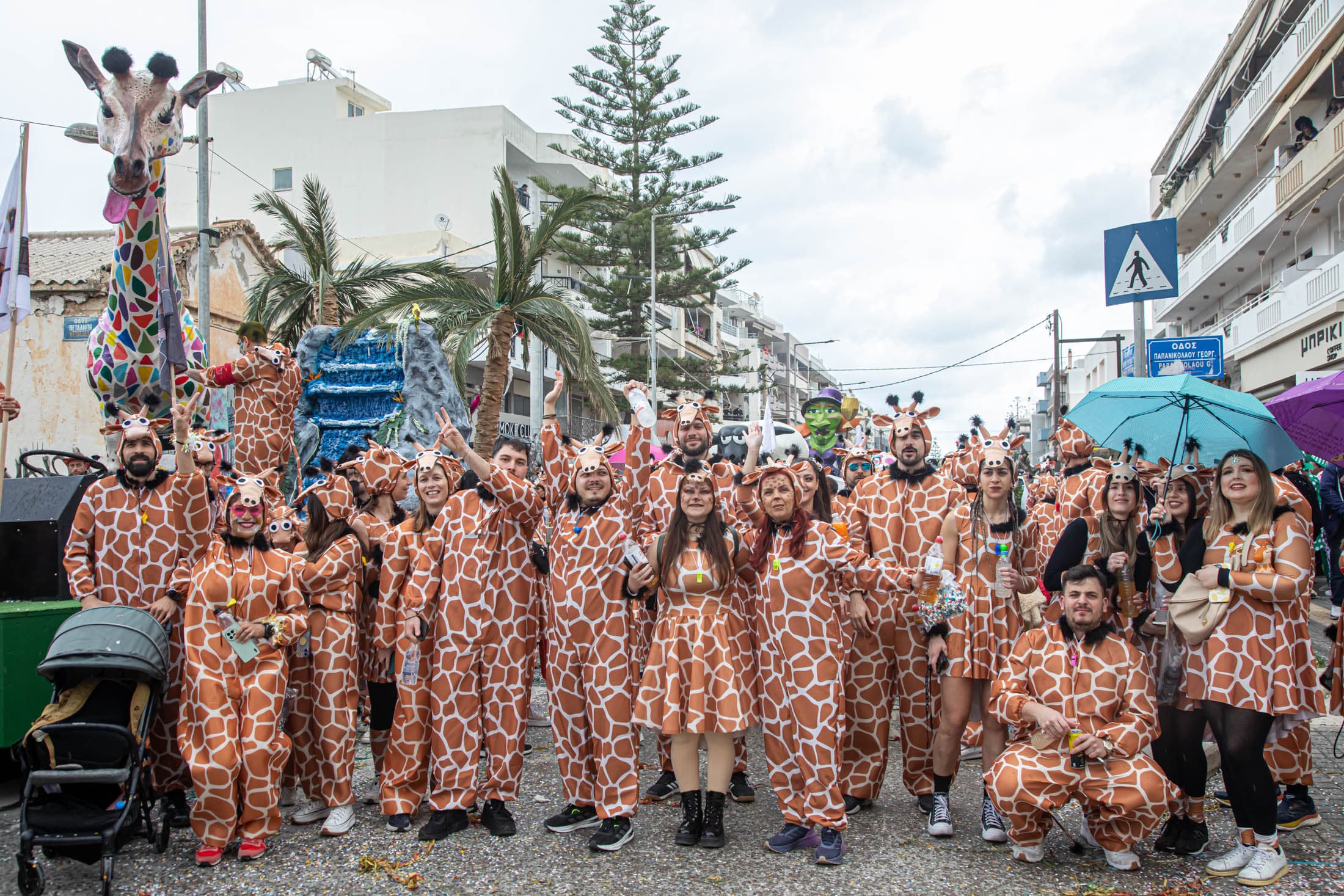 Alt text not provided