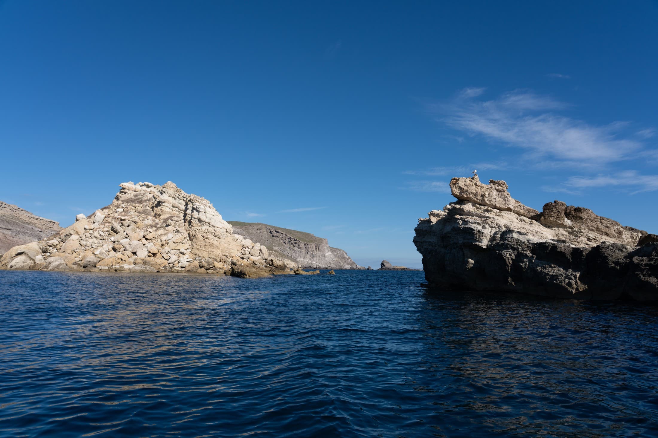 Alt text not provided