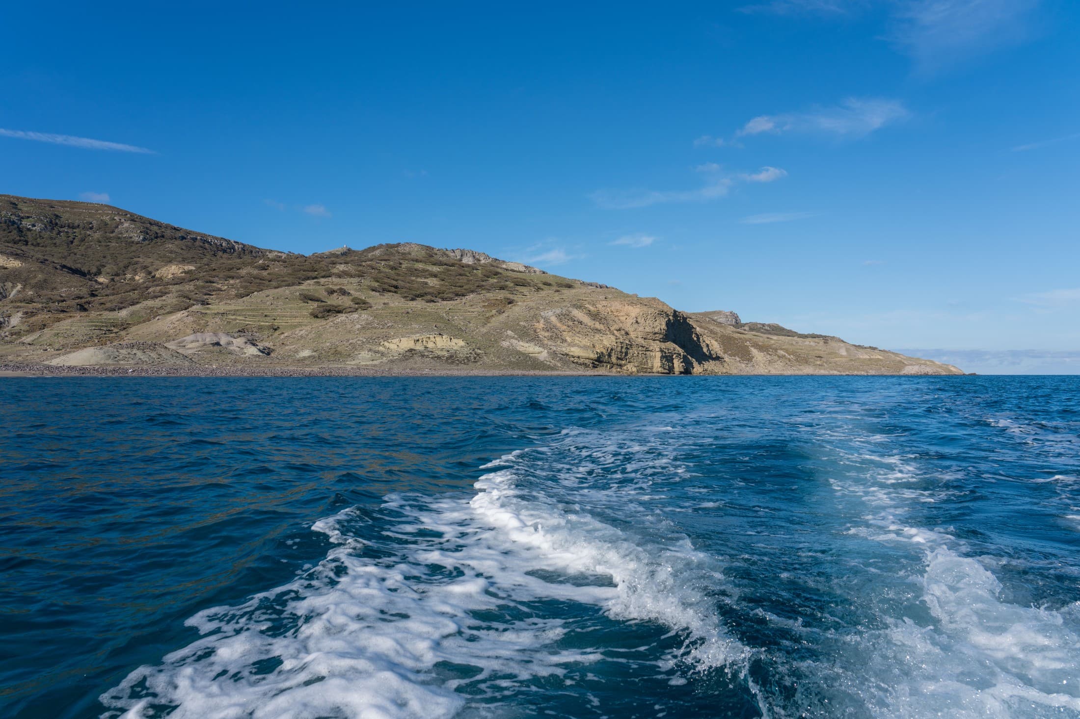 Alt text not provided