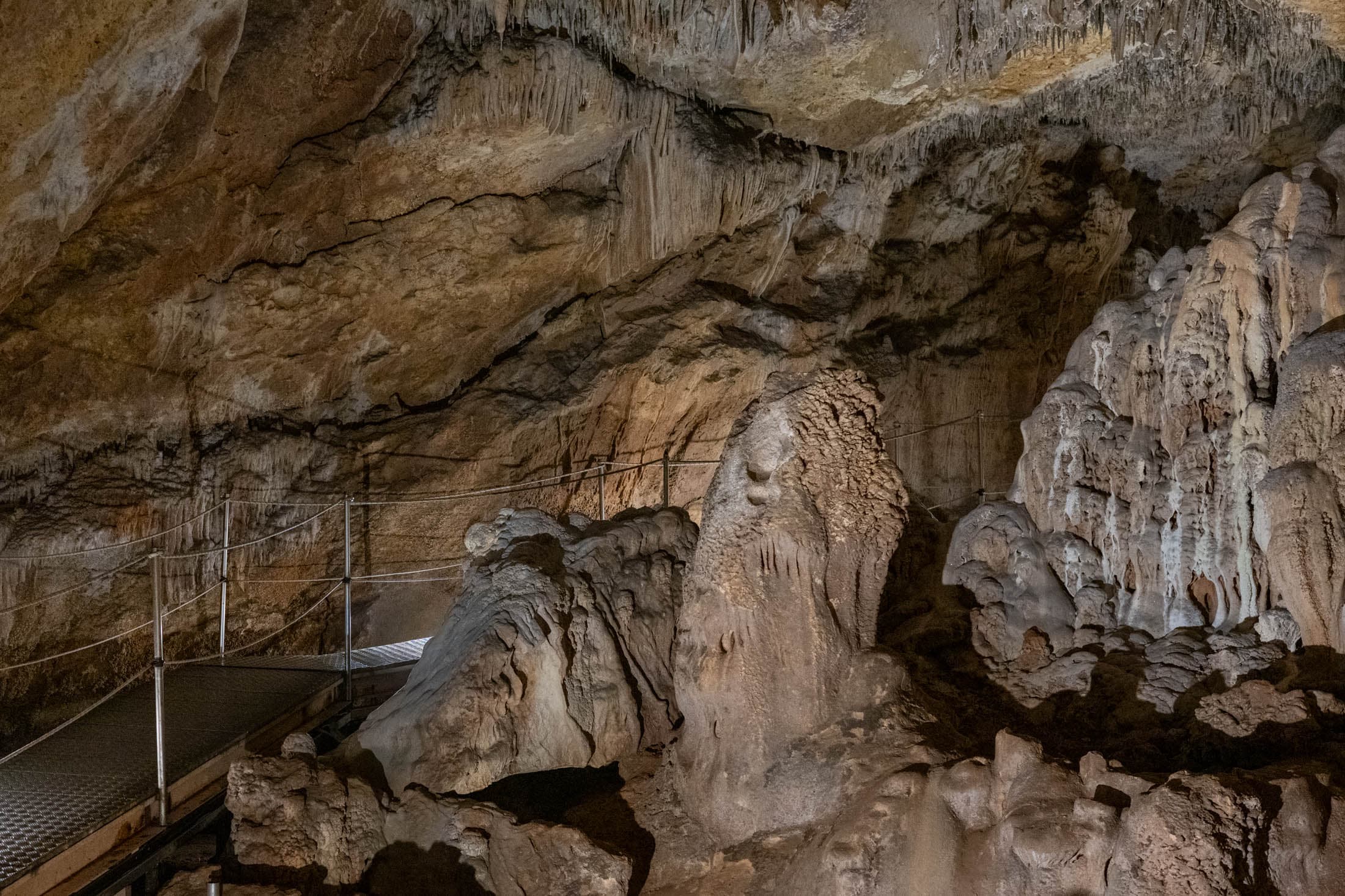 Alt text not provided