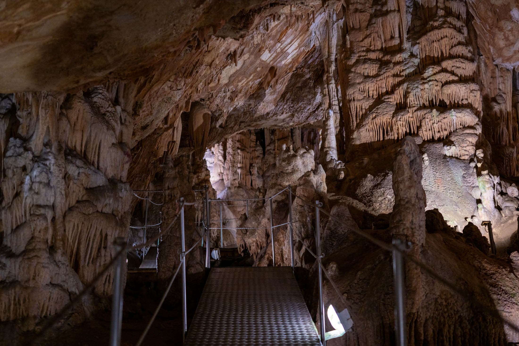 Alt text not provided