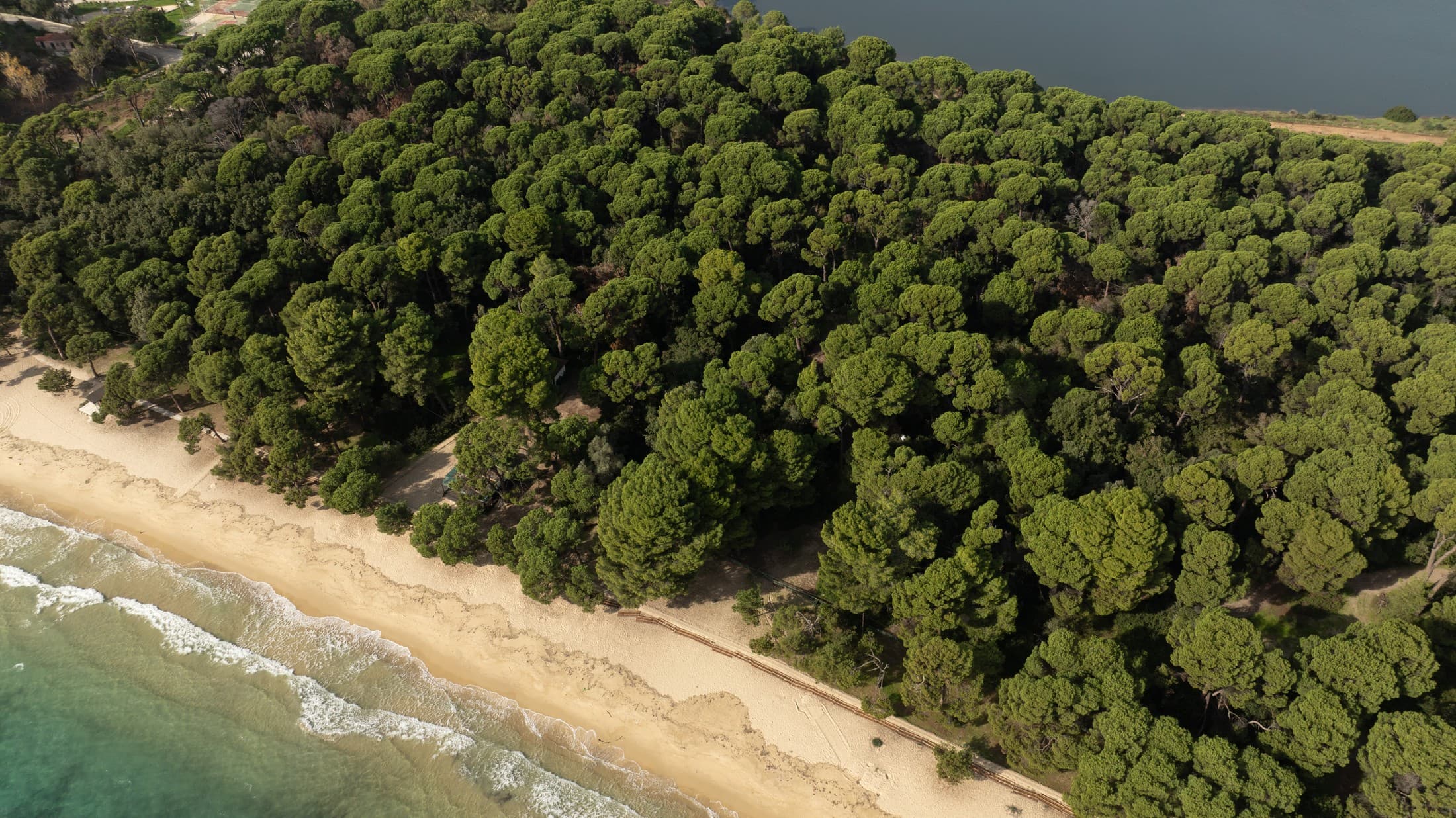 Alt text not provided