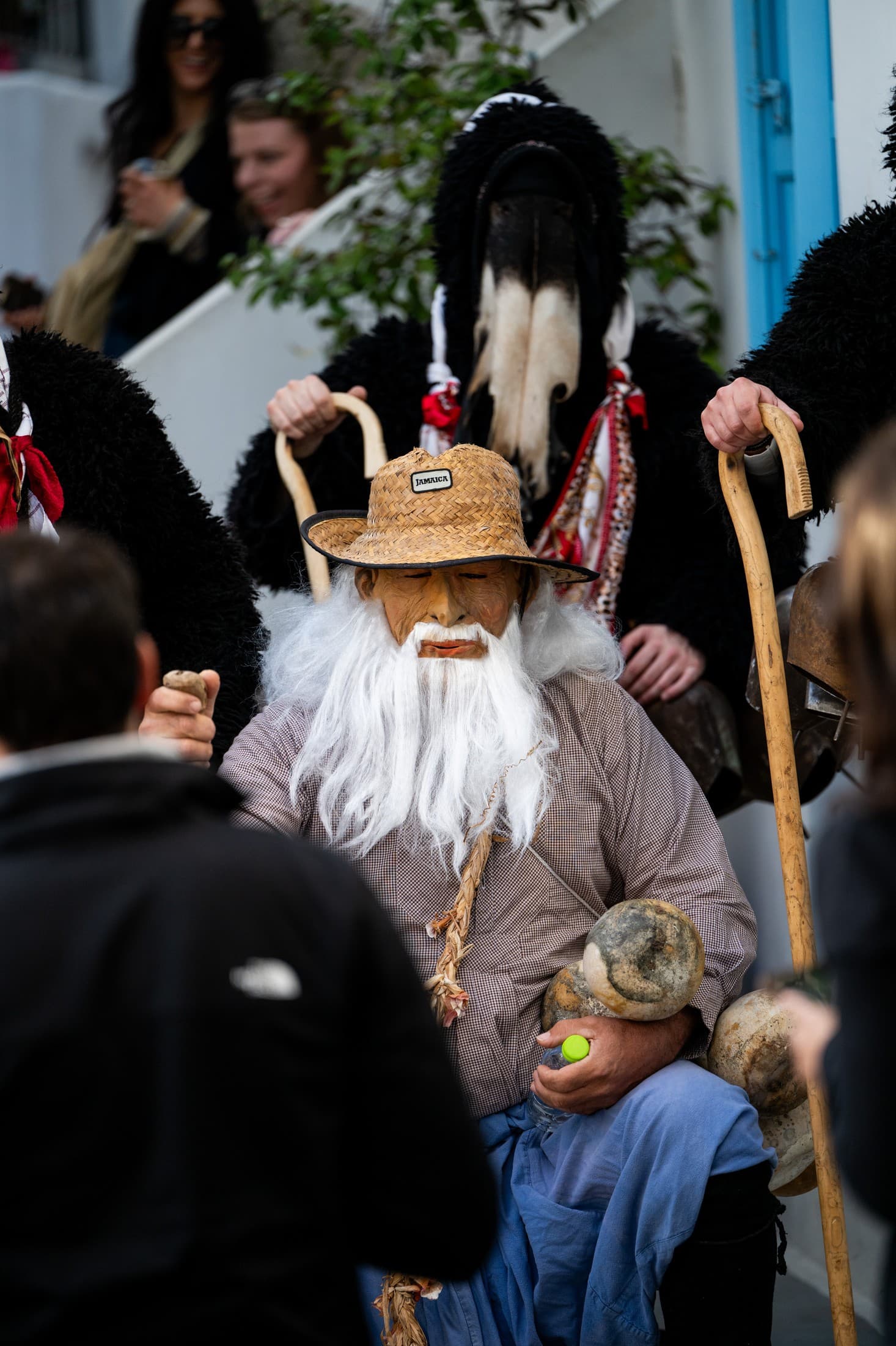 Alt text not provided