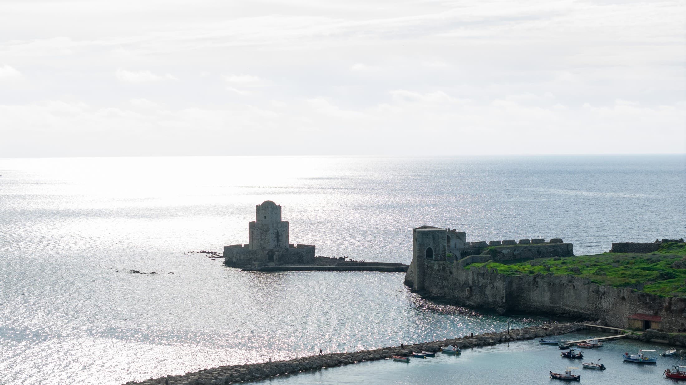 Alt text not provided