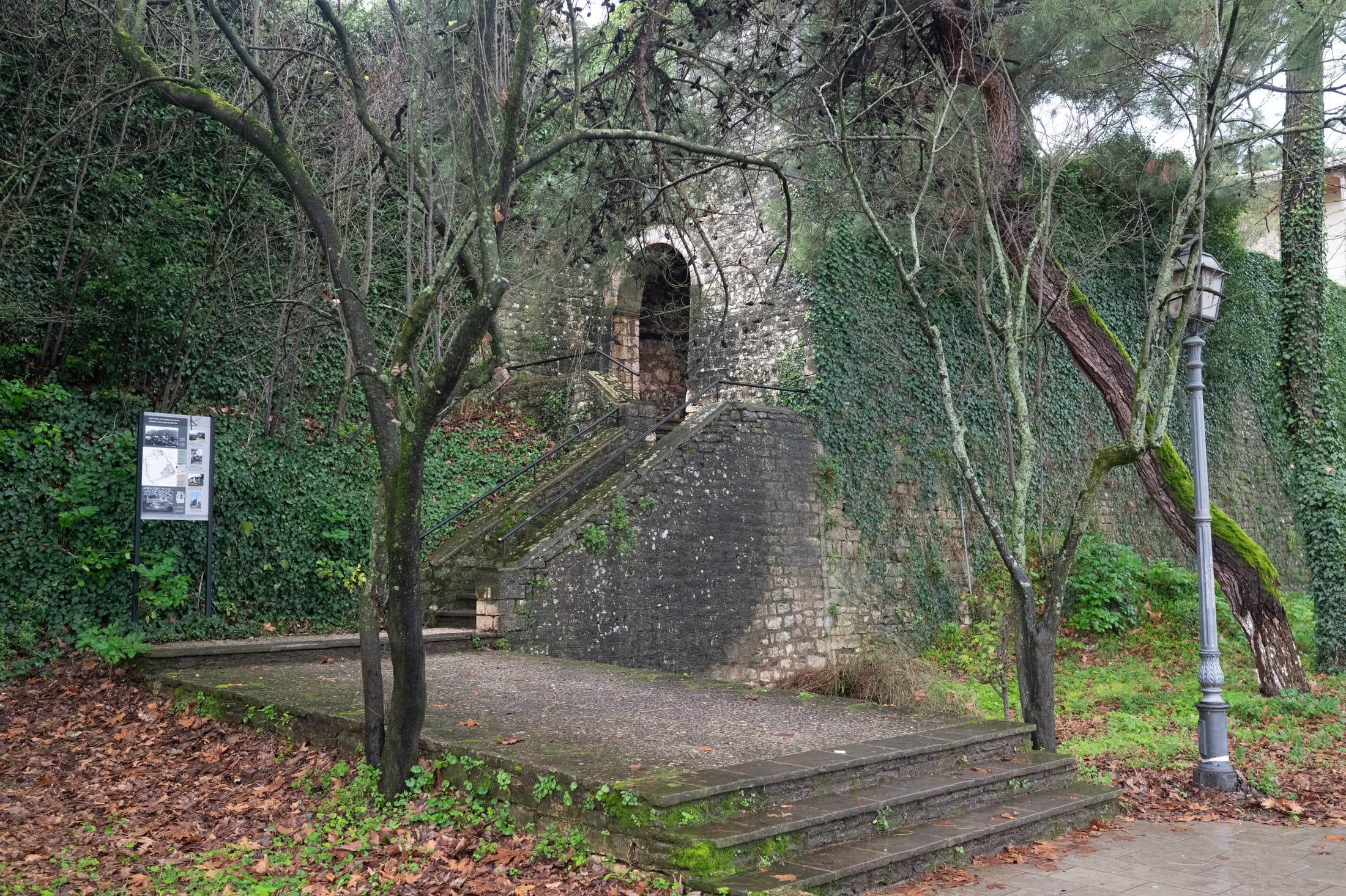 Alt text not provided