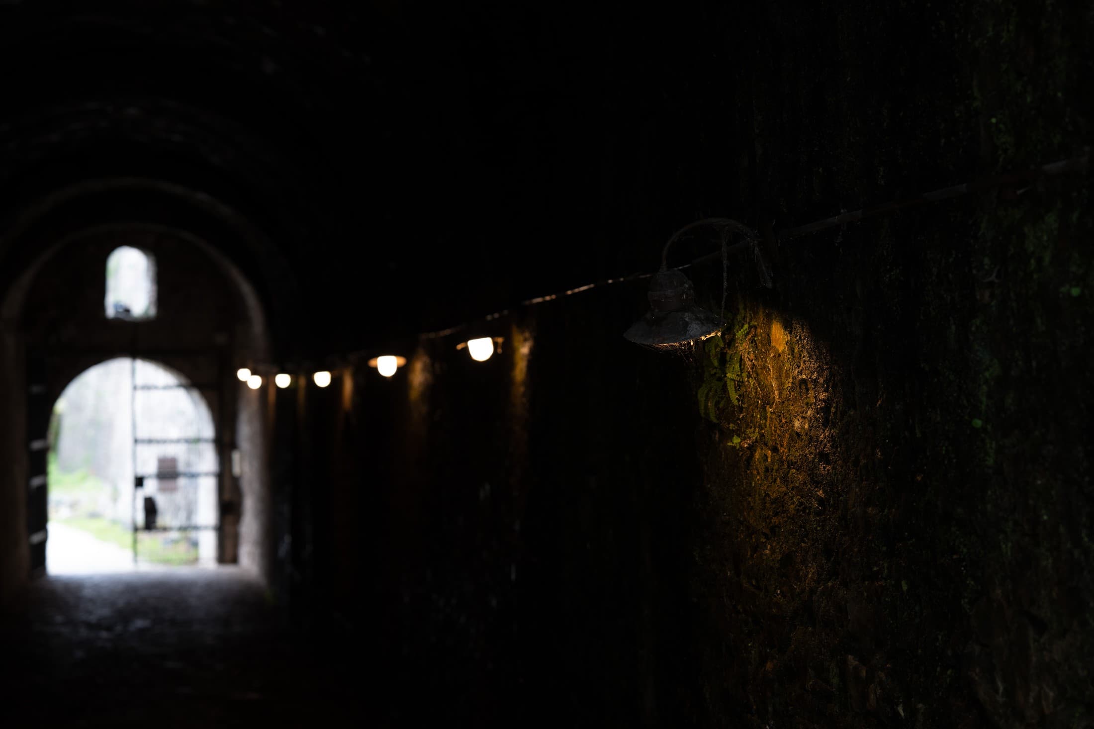 Alt text not provided