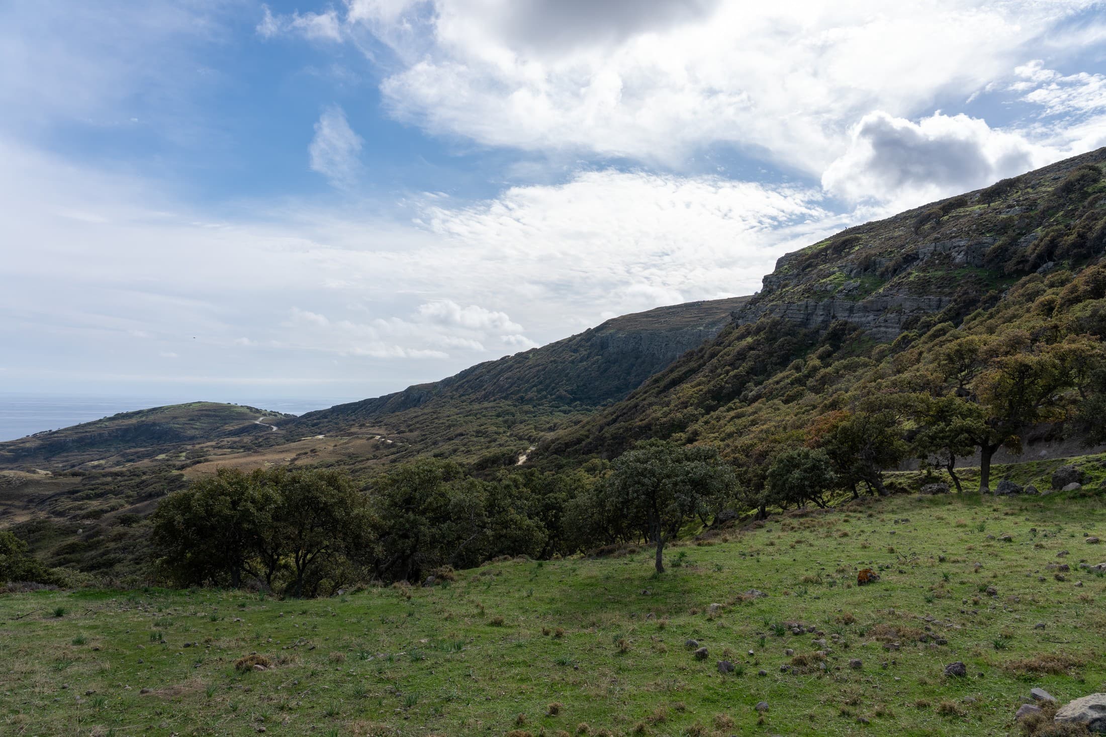 Alt text not provided