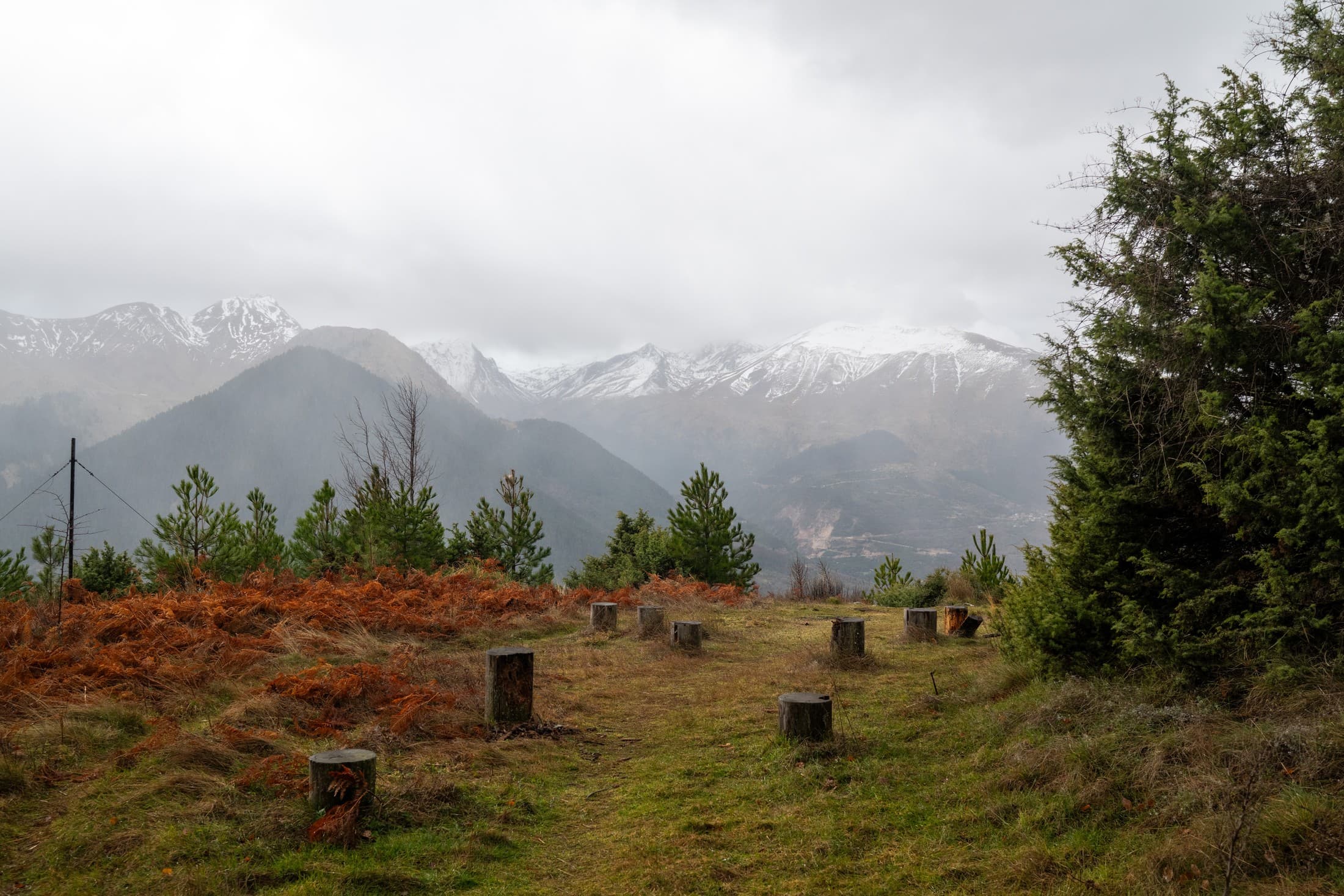 Alt text not provided