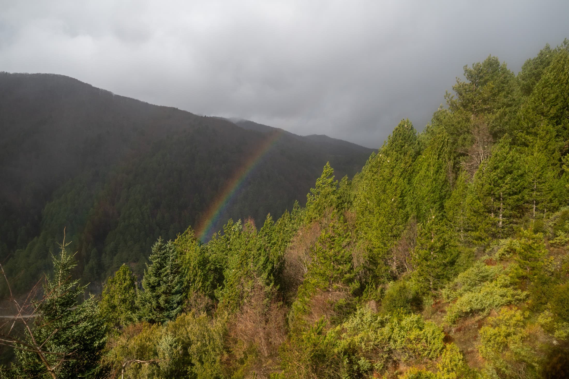 Alt text not provided