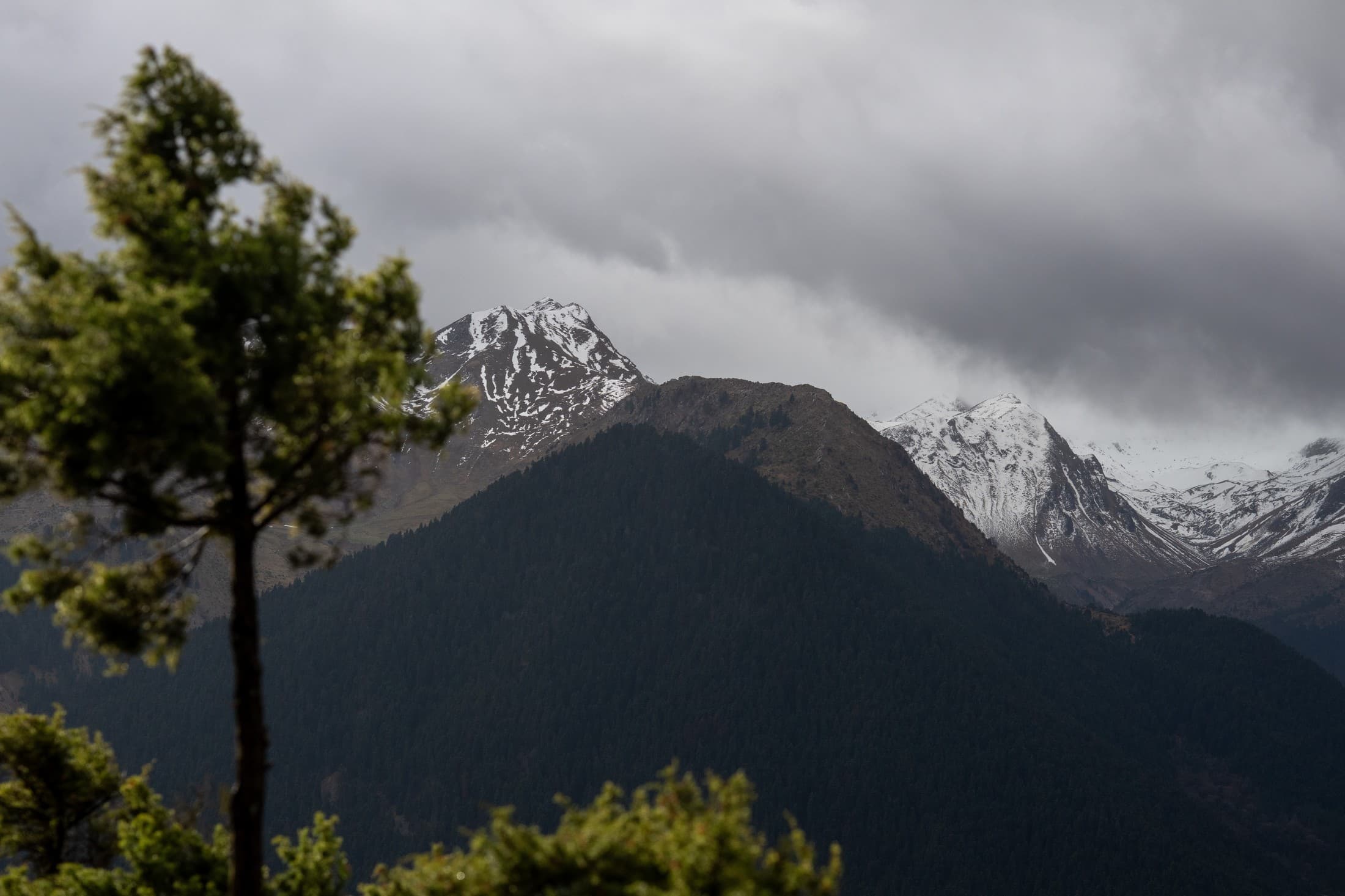 Alt text not provided