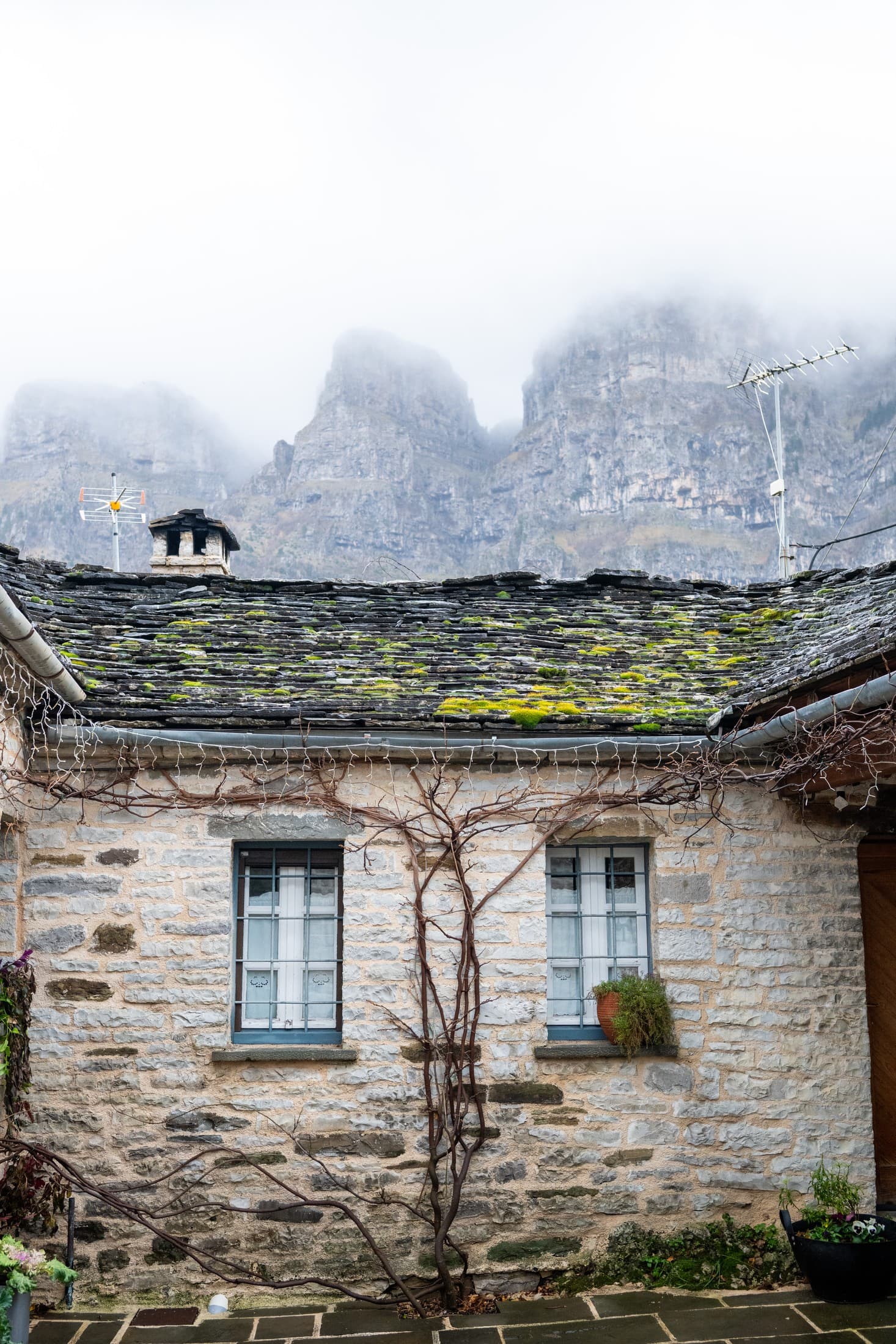 Alt text not provided