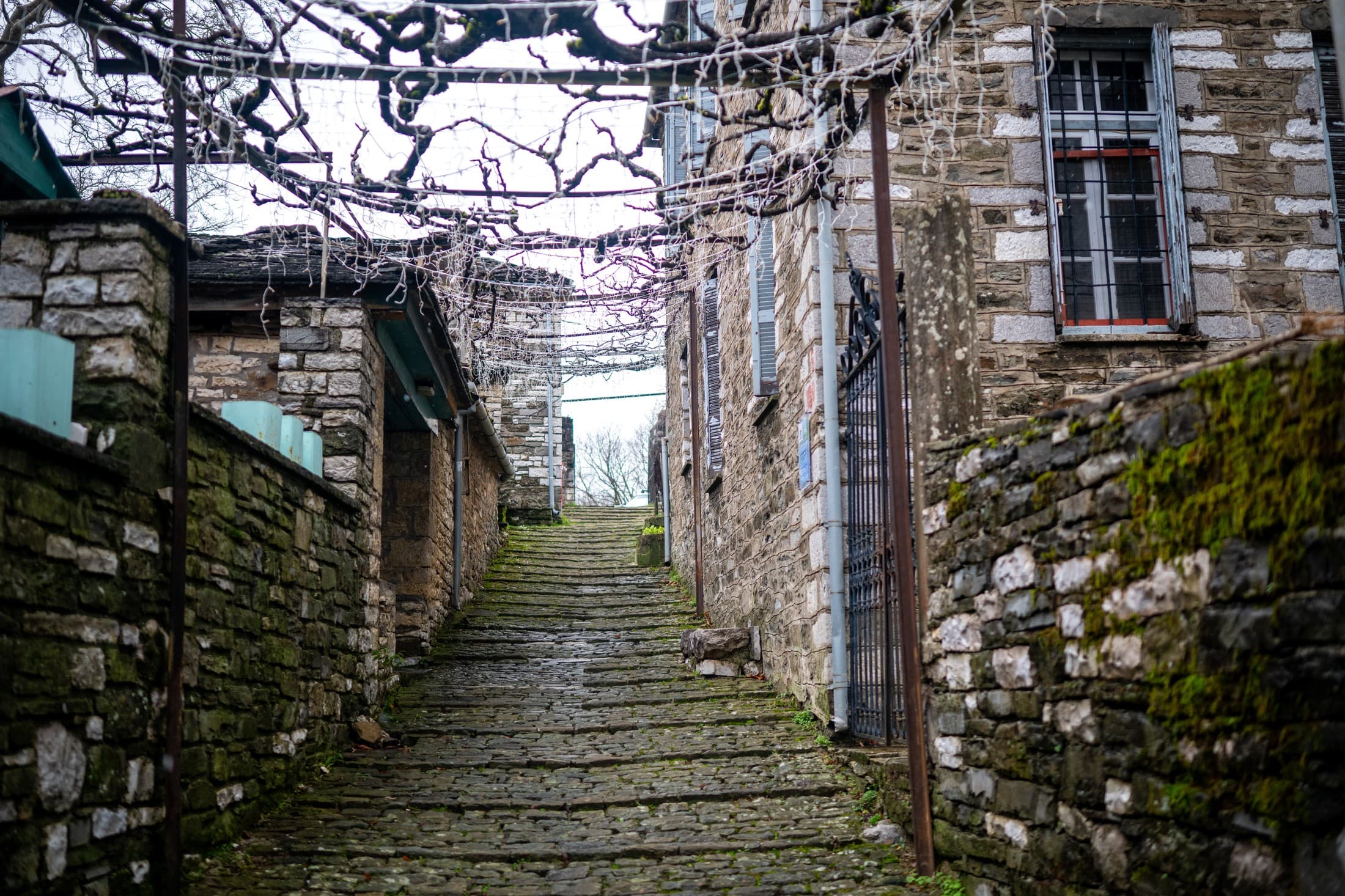 Alt text not provided