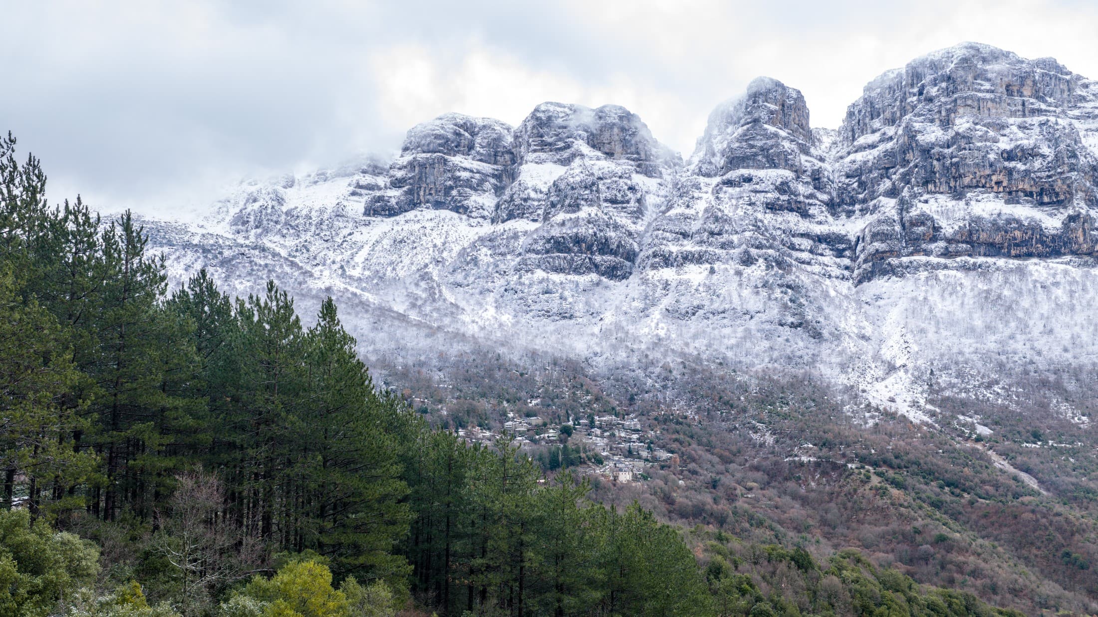 Alt text not provided