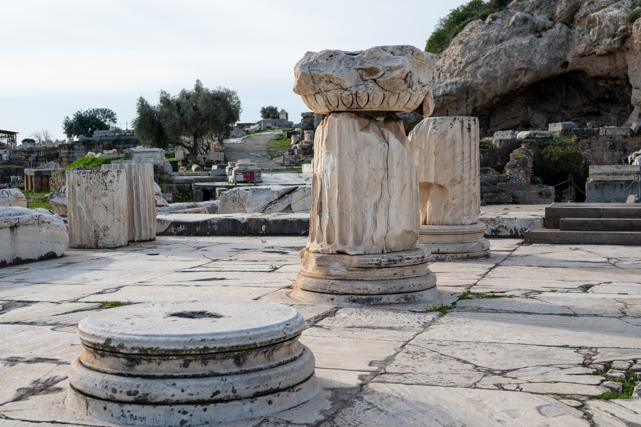 Alt text not provided