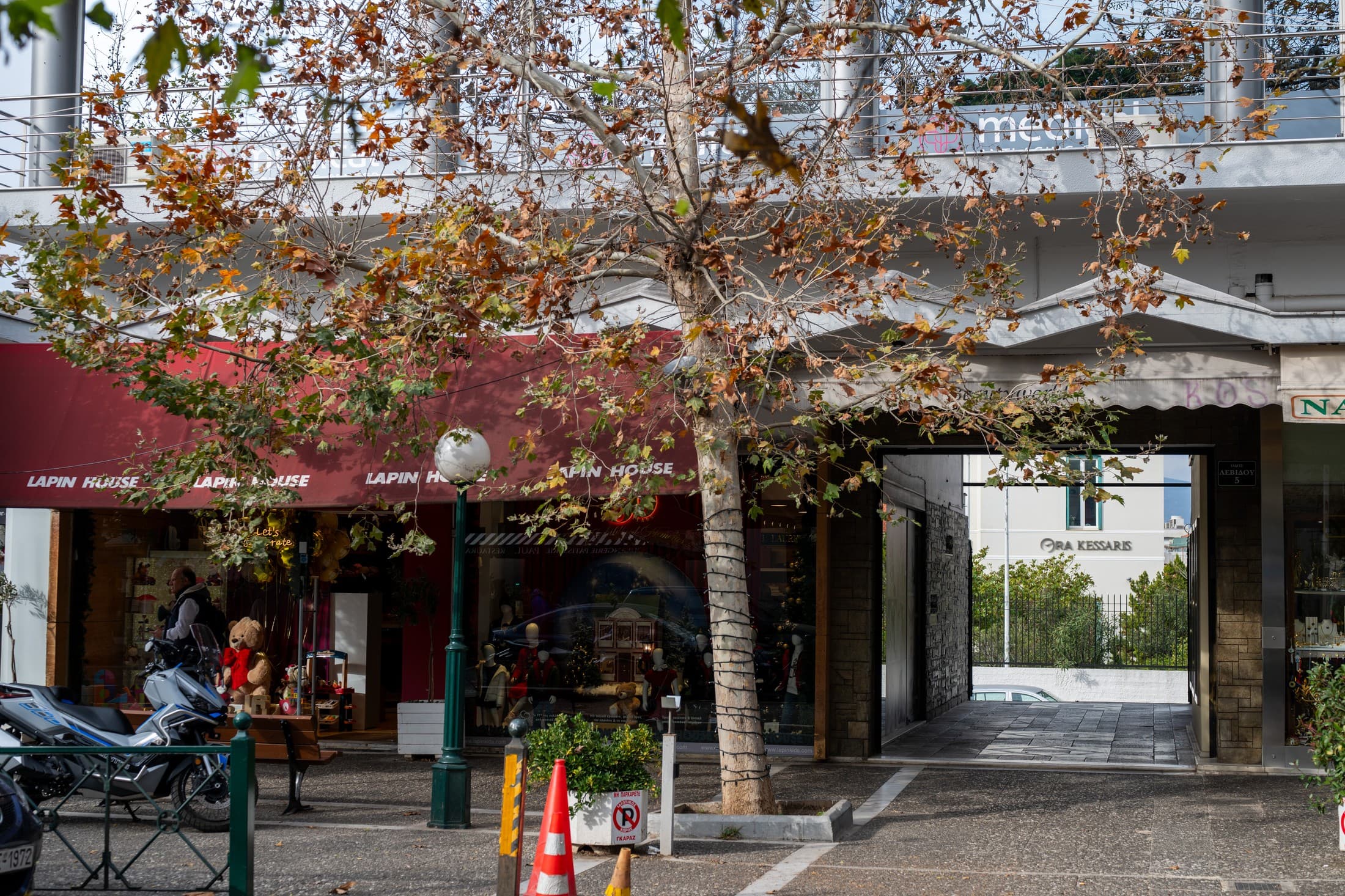 Alt text not provided