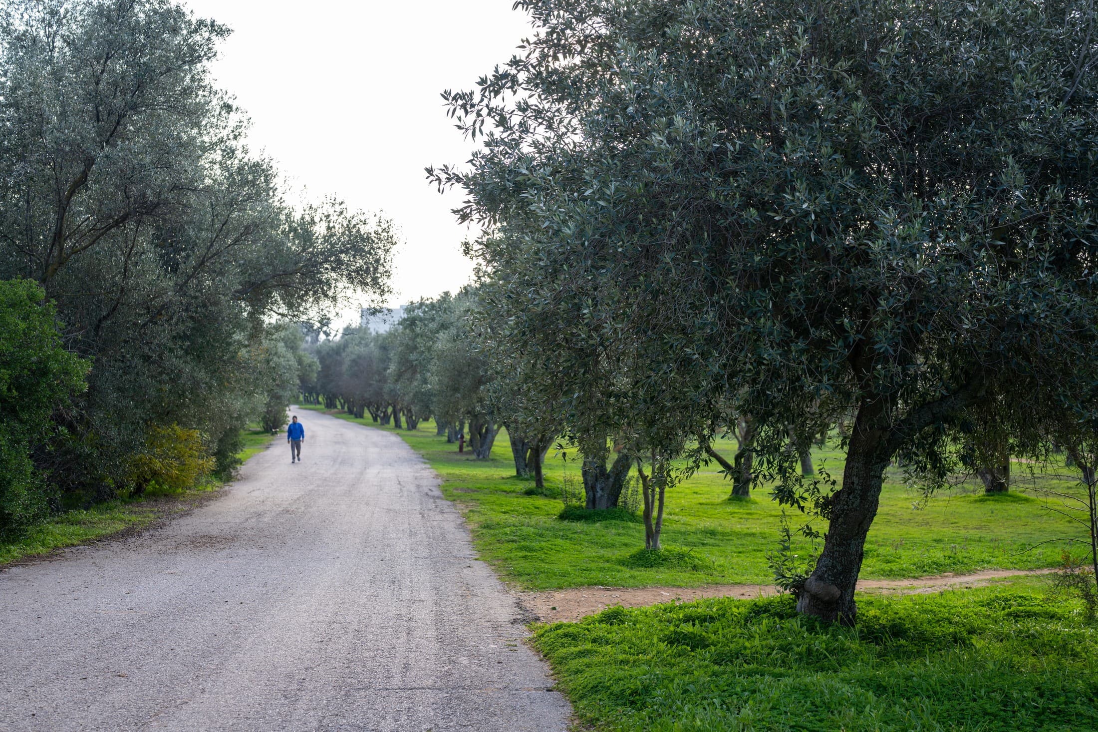 Alt text not provided