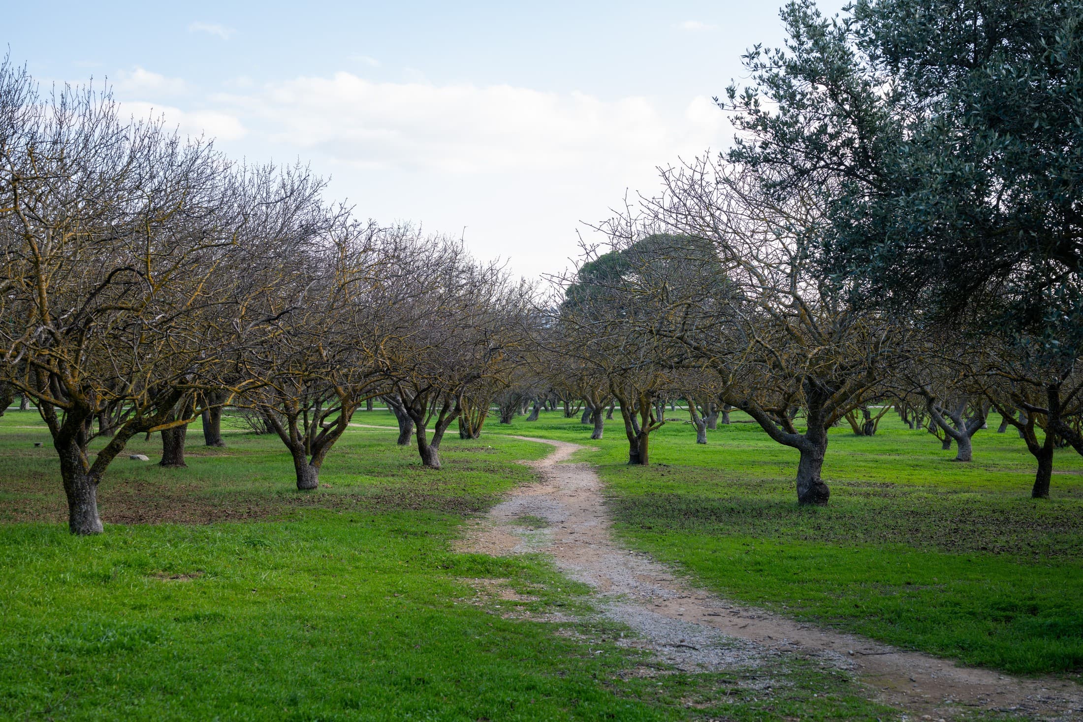 Alt text not provided