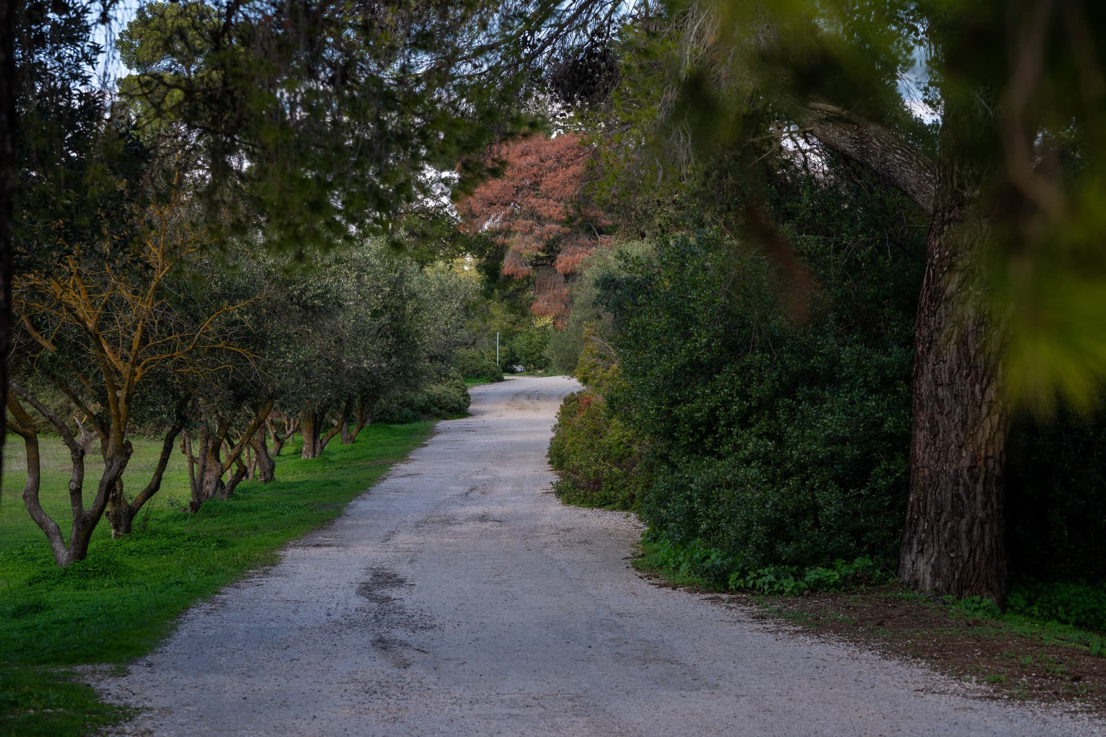 Alt text not provided