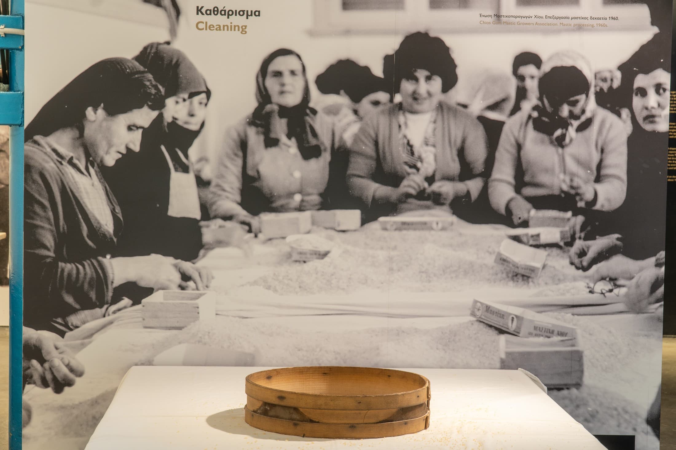 Alt text not provided