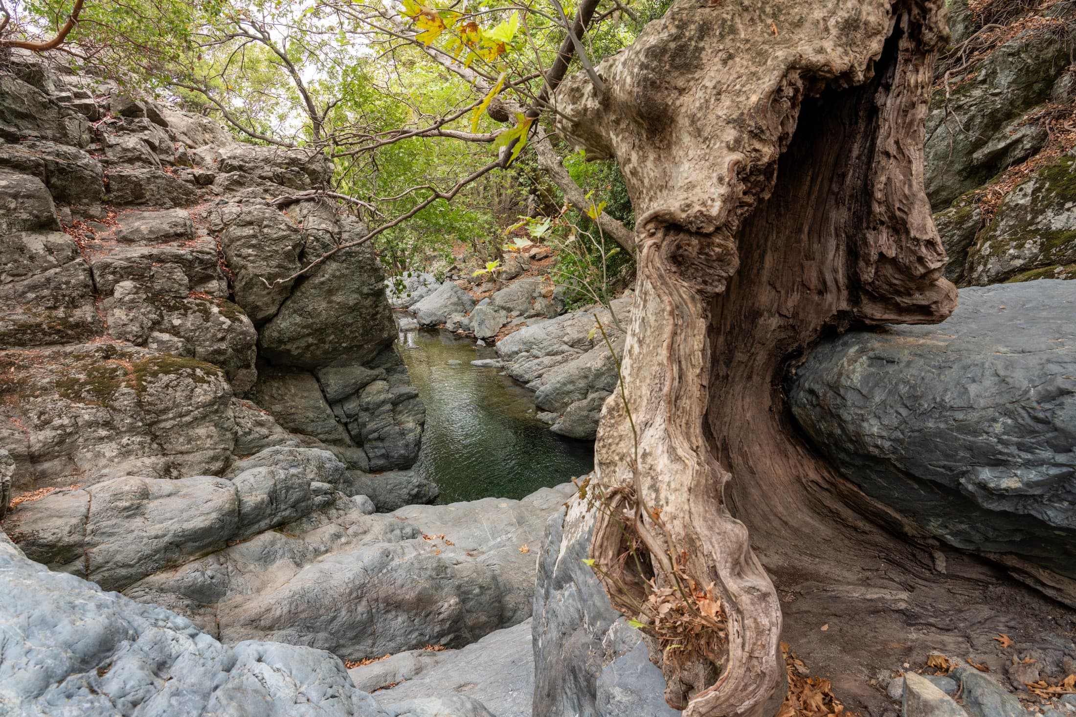 Alt text not provided