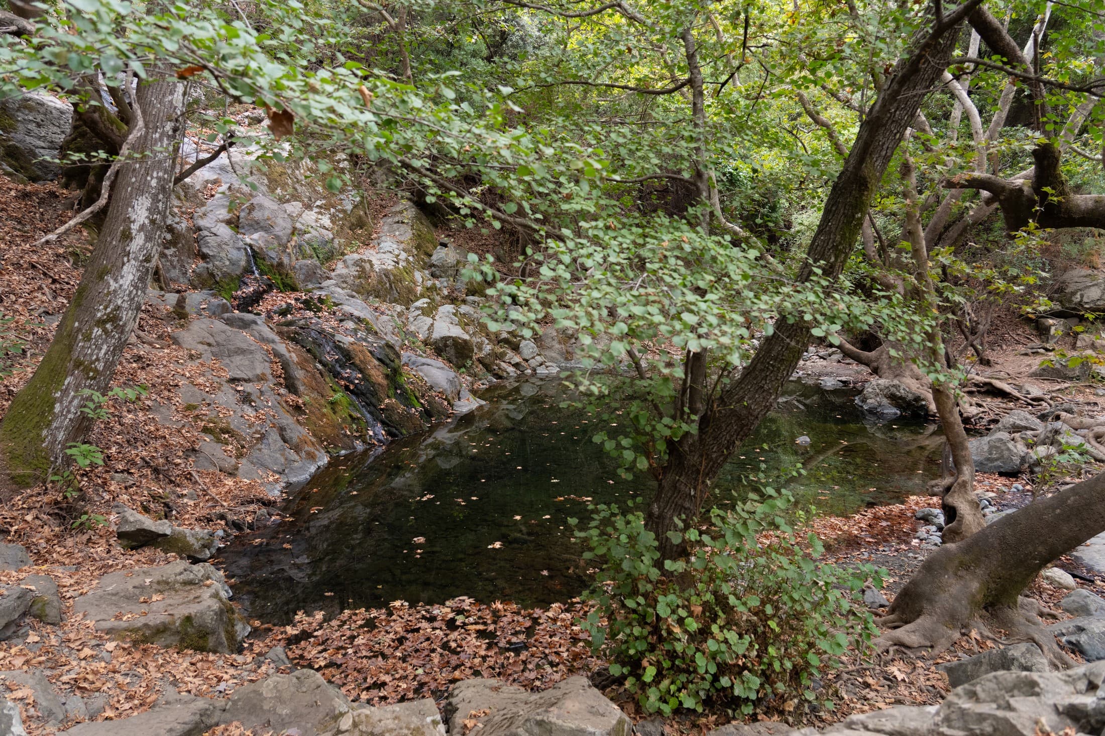 Alt text not provided