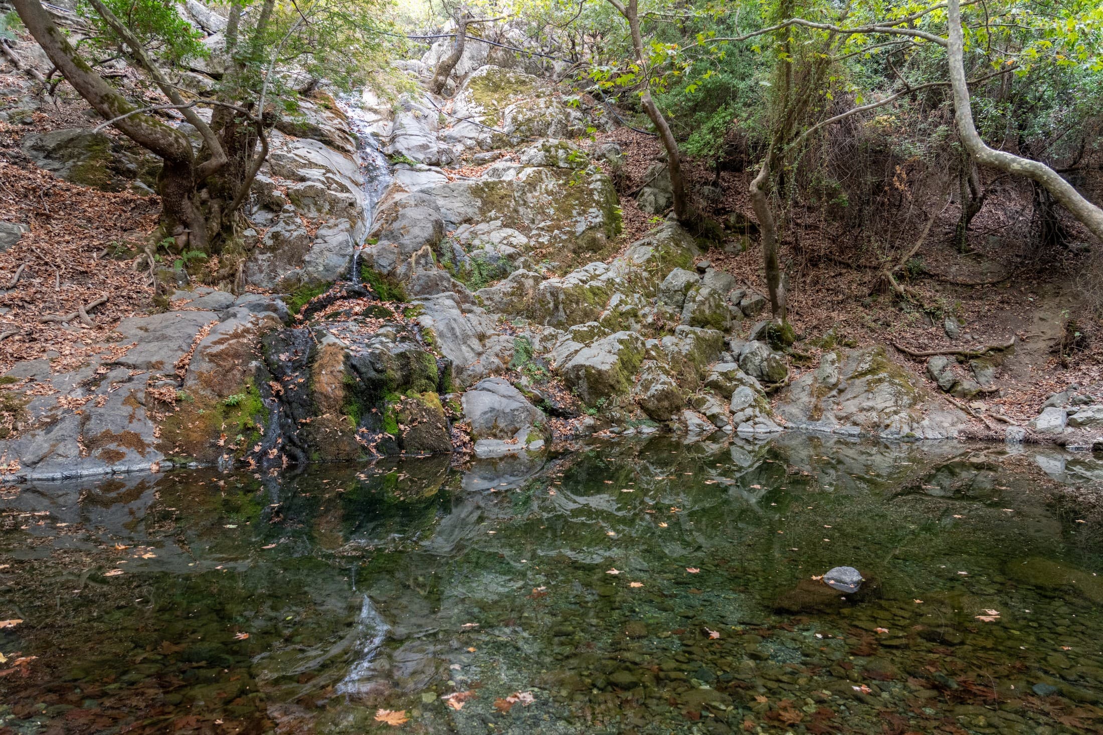 Alt text not provided