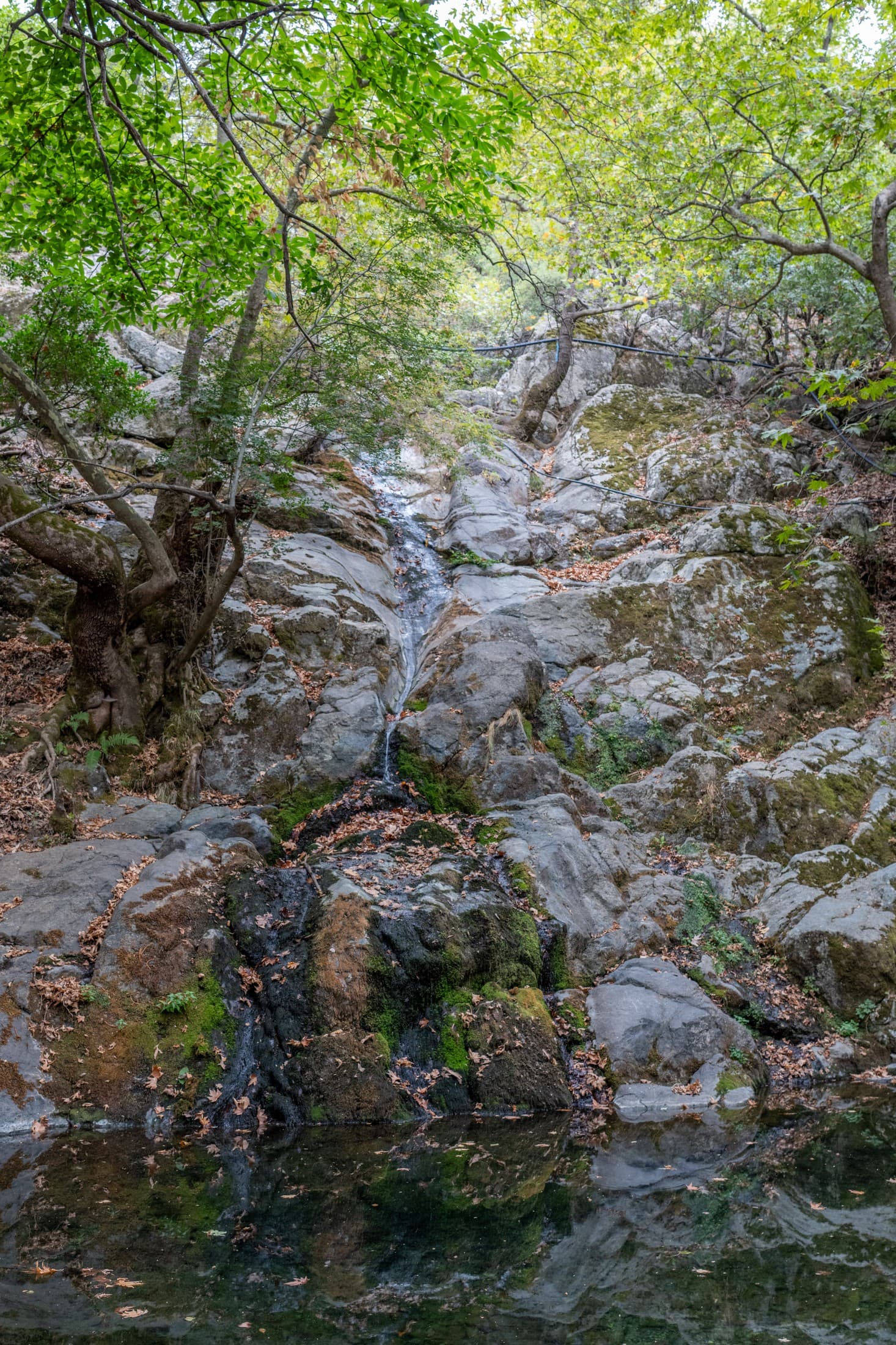 Alt text not provided