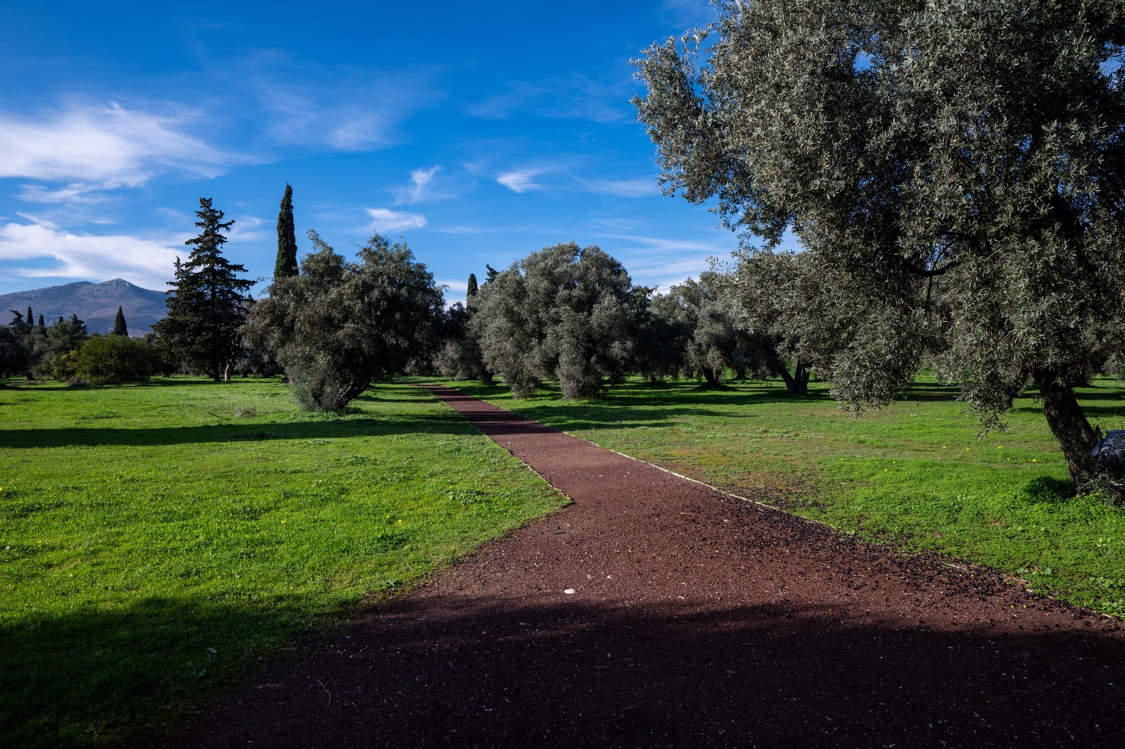 Alt text not provided